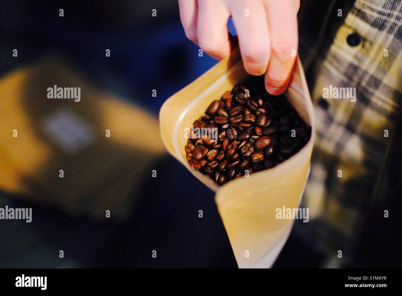 Ein kaffeeröster zeigt uns einige frisch gerösteten Kaffeebohnen Stockfoto