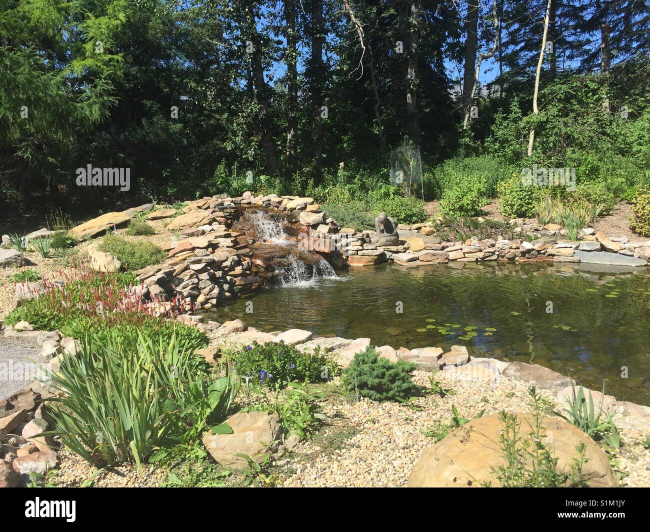 Wasserfall im Botanischen Garten Stockfoto