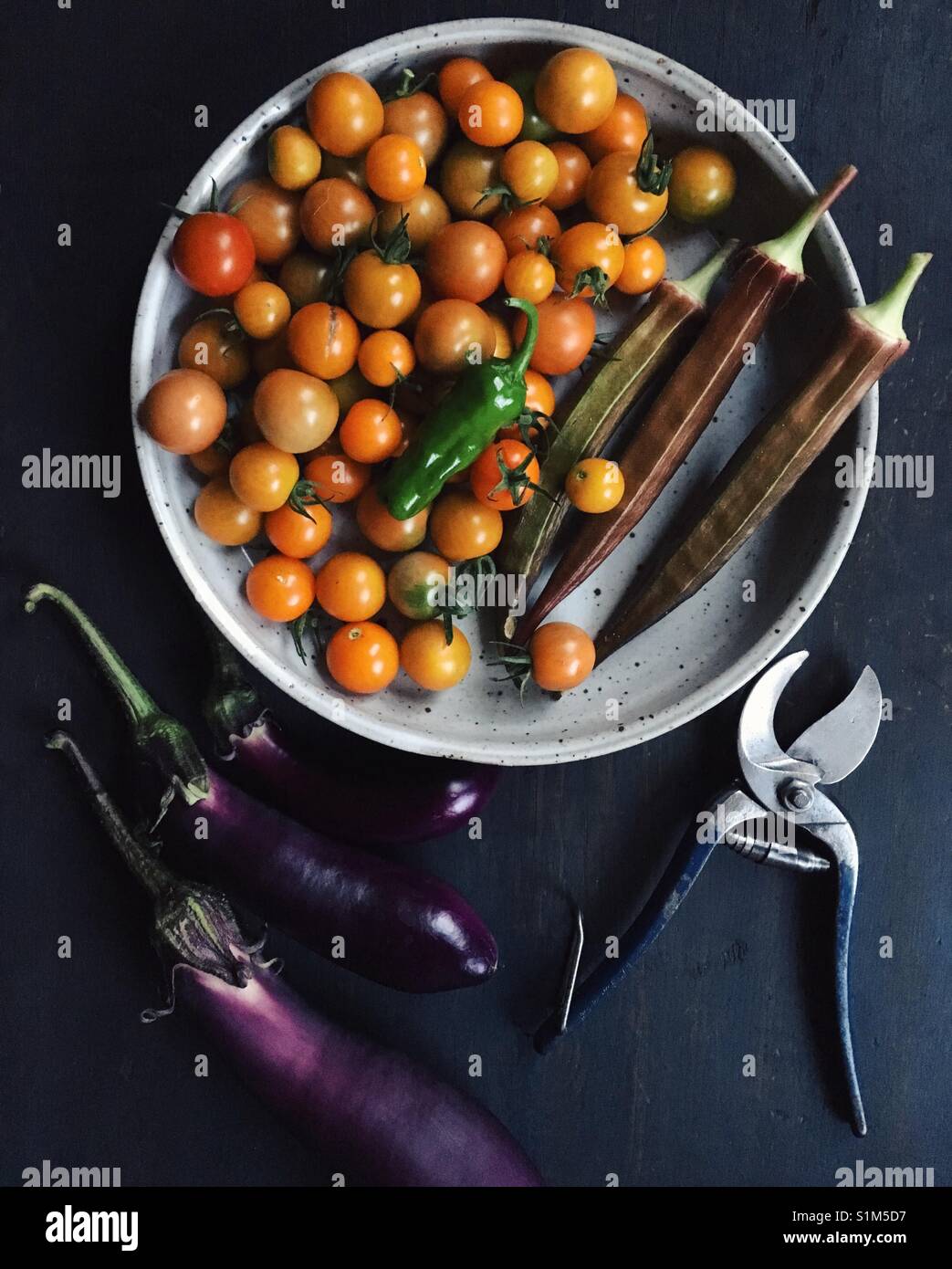 Gemüse aus einem städtischen Garten geerntet. - Smartphone-aufgenommenes Stockfoto