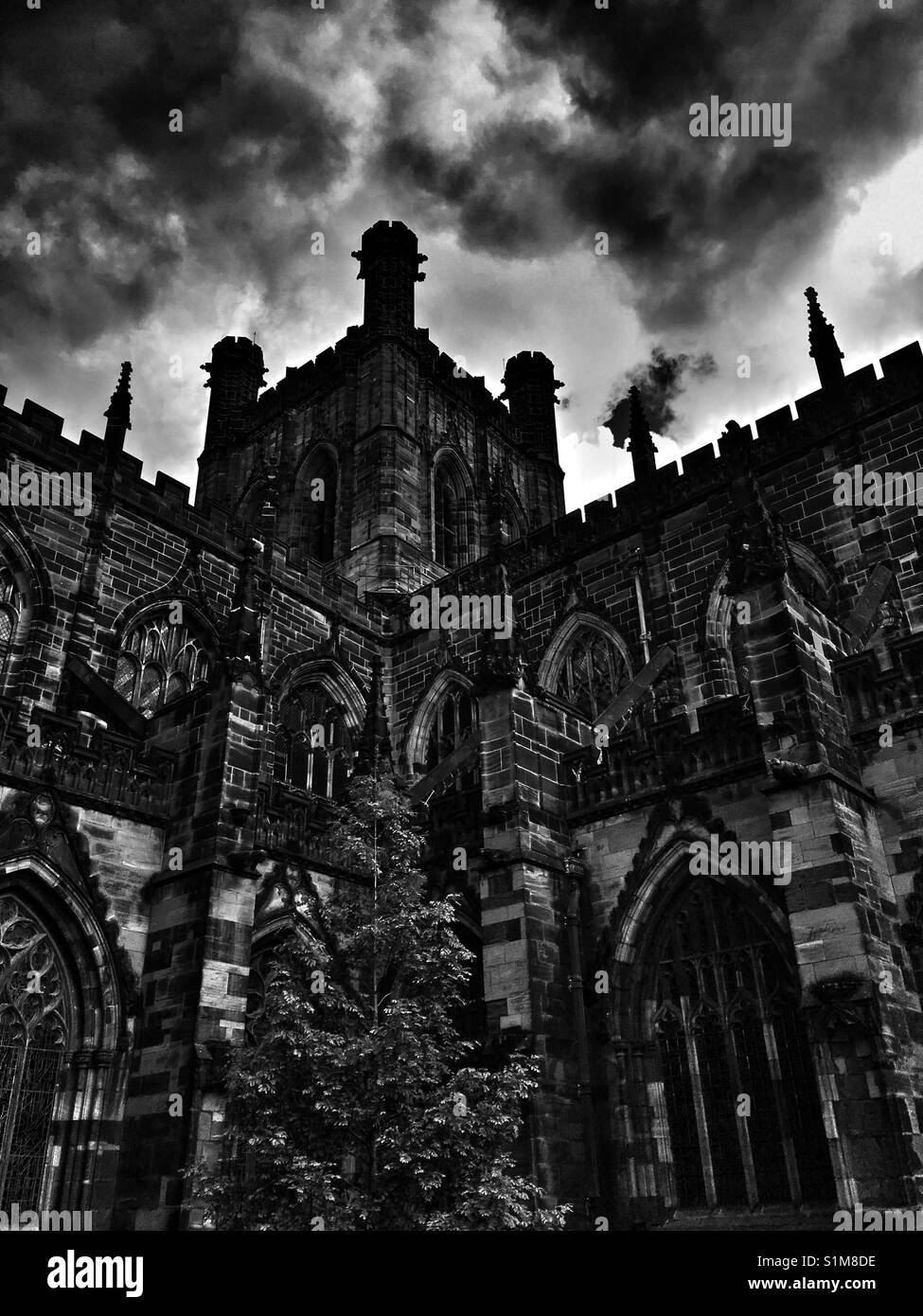 Kathedrale von Chester Stockfoto