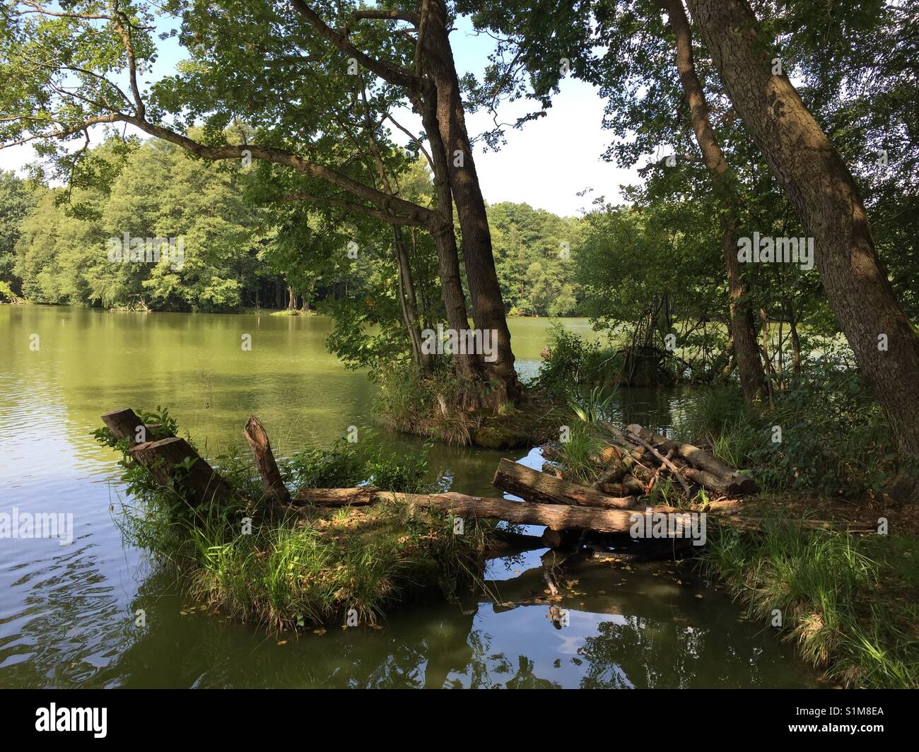 Wald- und Seenlandschaft. Wald und See Landschaft. Stockfoto