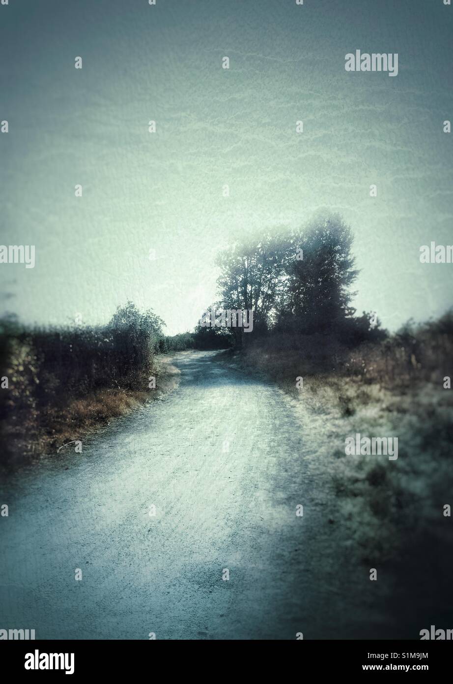 Verträumt, kurvigen Schotterweg durch Gras und Bäumen. - Smartphone-aufgenommenes Stockfoto