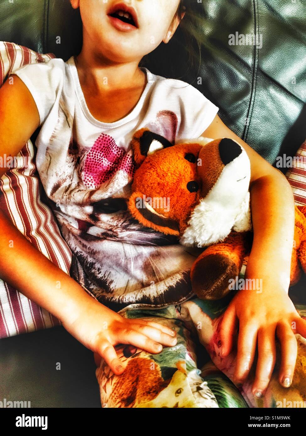 Kuschelig Fox Stockfoto