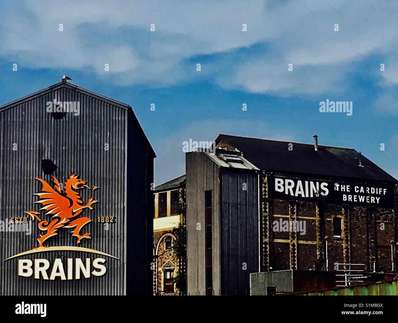 Gehirne - Cardiff Brauerei. Stockfoto