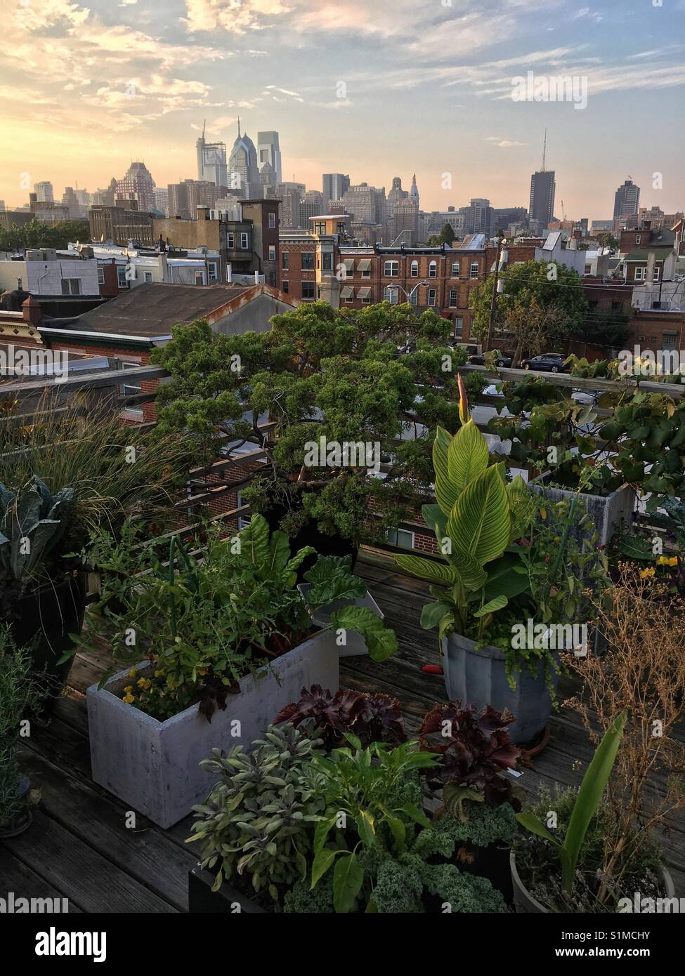Urban Dachgarten, Philadelphia, Pennsylvania Stockfoto