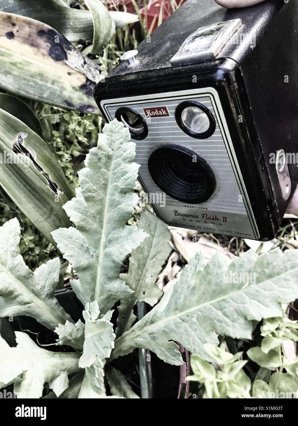 Antike Kodak Box Brownie Kamera unter closeup Foto im Garten Stockfoto