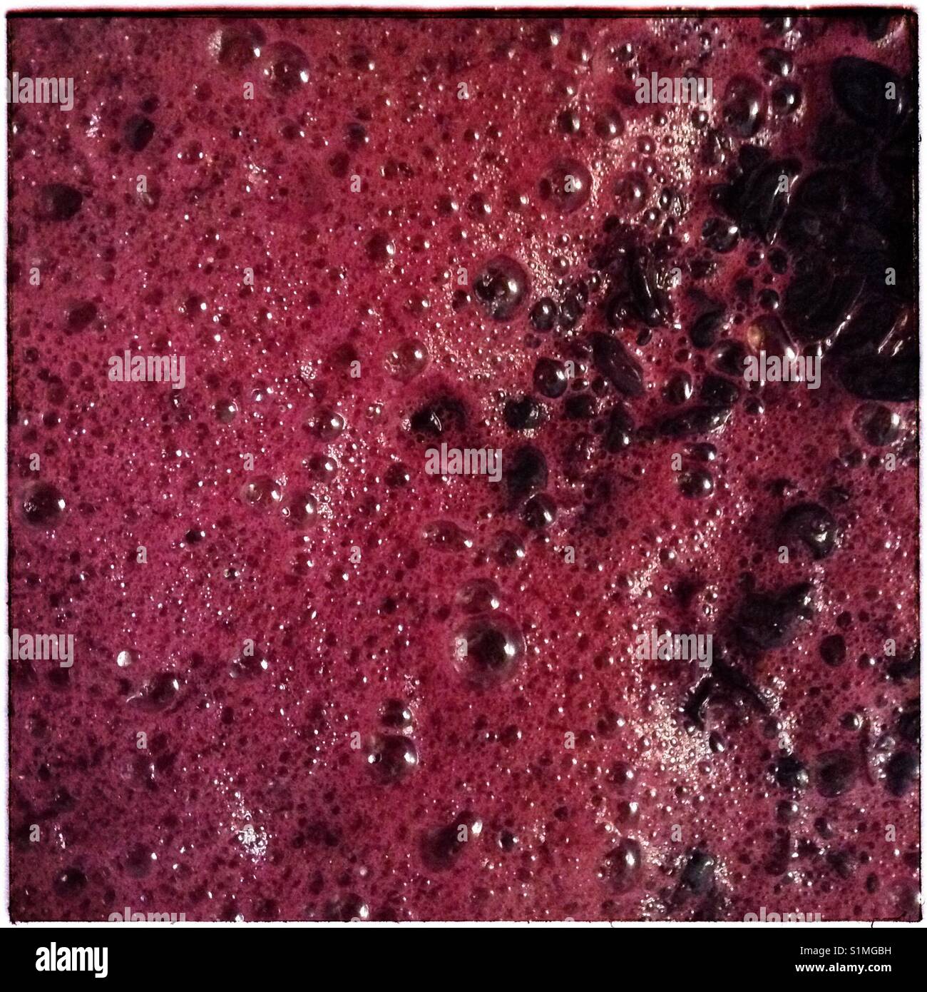 Syrah Trauben gären, Katalonien, Spanien. - Smartphone-aufgenommenes Stockfoto