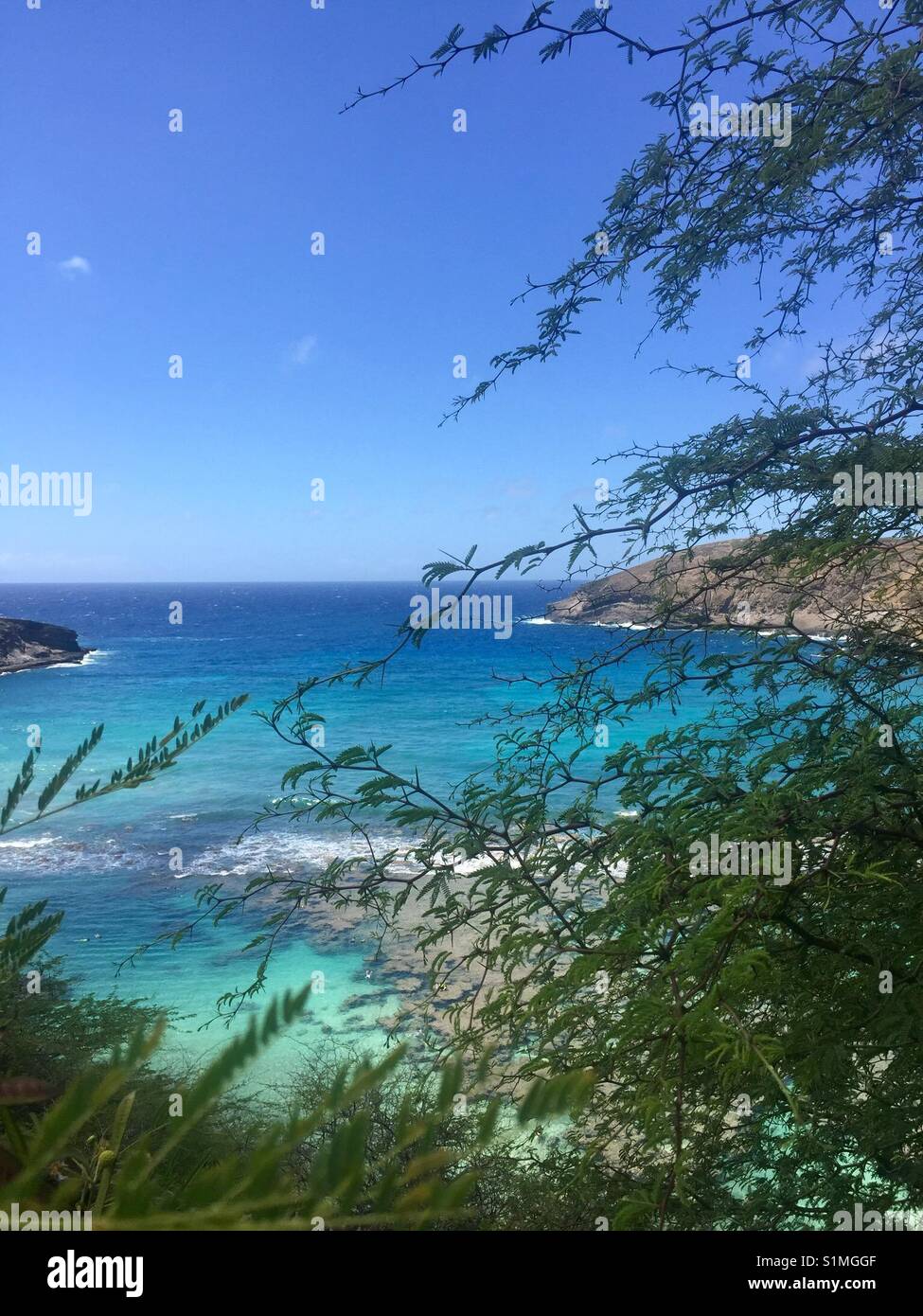 Insel Oahu Hanauma Bay Naturschutzgebiet... Stockfoto