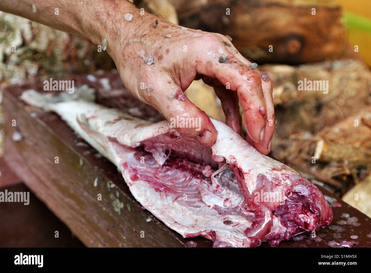 Roher Fisch wird von einem Fischer vorbereitet Stockfoto