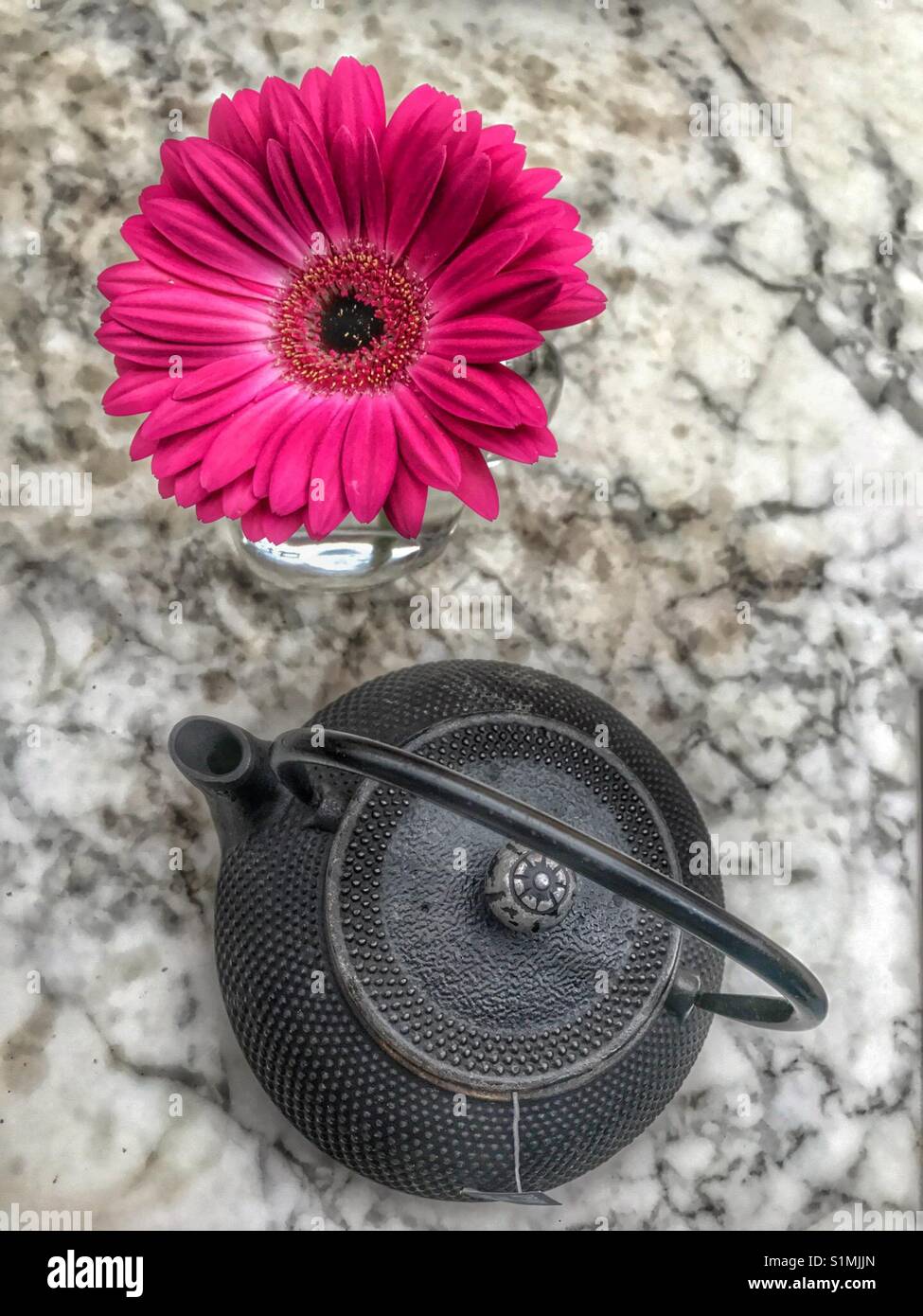 Von oben nach unten Foto von niedlichen kleinen schwarzen Chinesischen Teekanne mit tief roten Gerbera Blume auf Marmor tisch - Smartphone-aufgenommenes Stockfoto