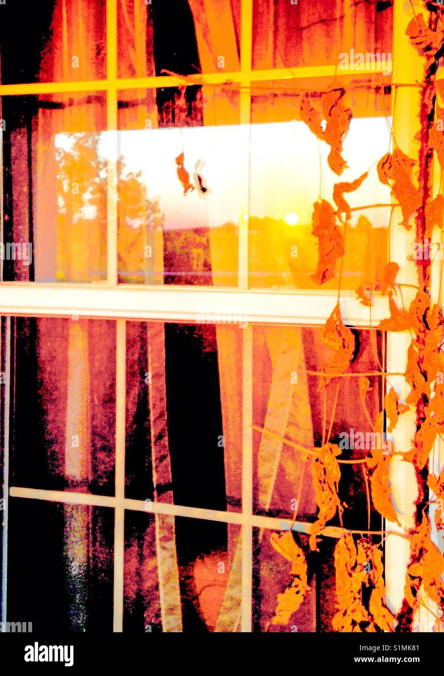 Orange Sonnenuntergang Spiegelung im Fenster - Smartphone-aufgenommenes Stockfoto