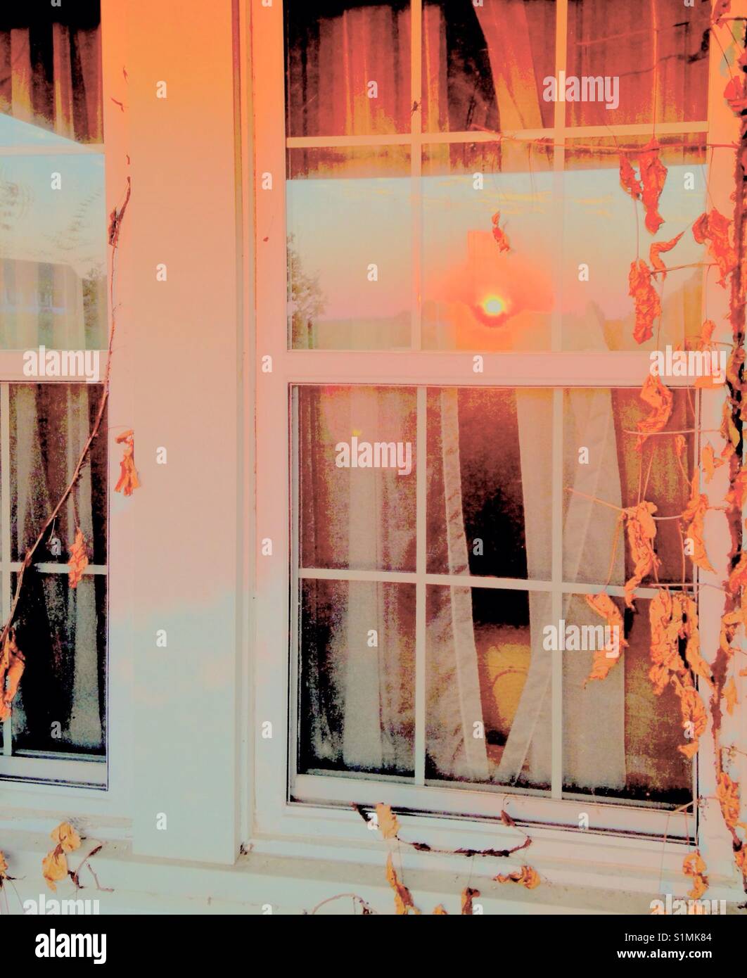 Apricot sunset im Fenster - Smartphone-aufgenommenes Stockfoto