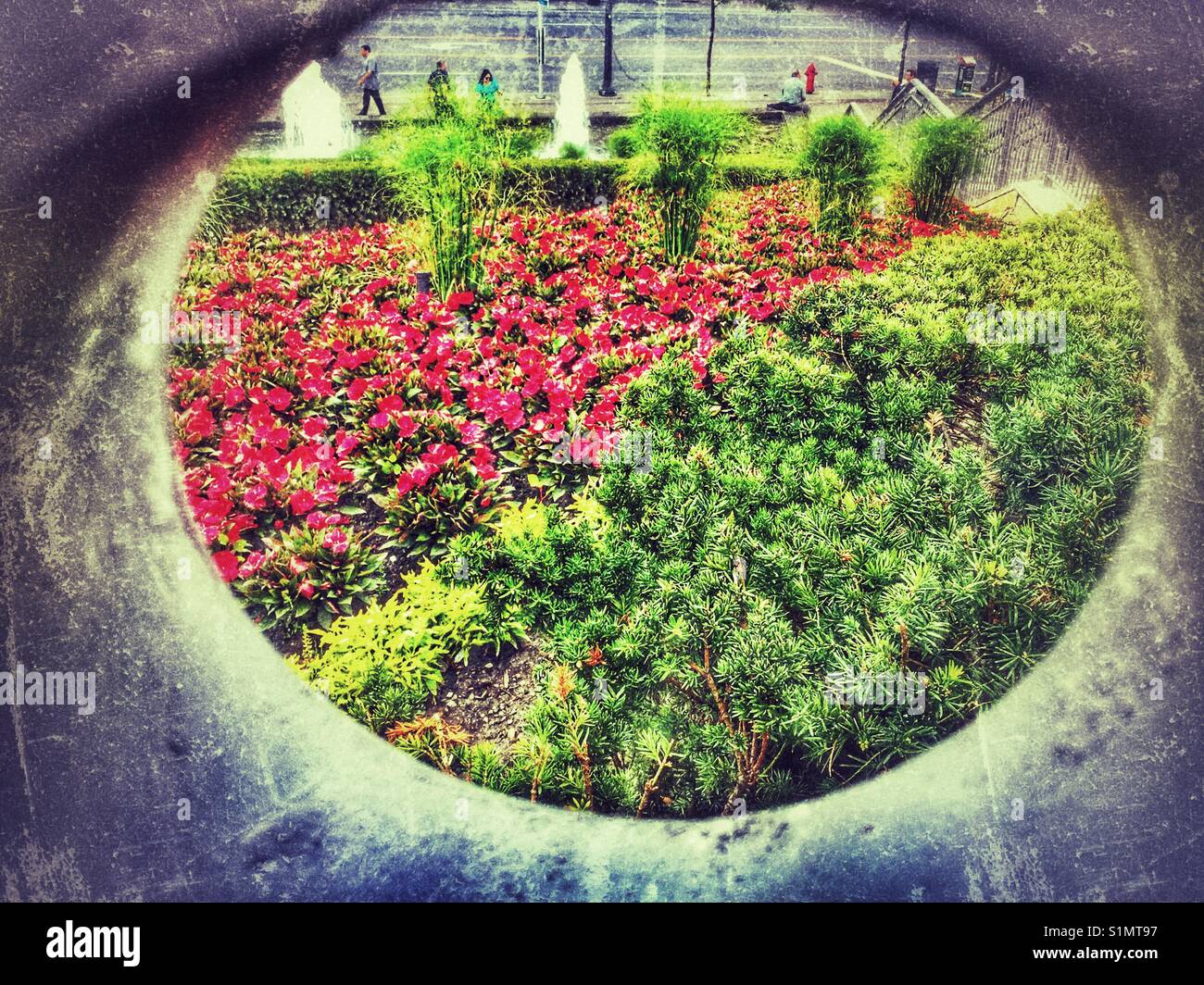 Blick auf den Garten durch einen Kreis. Stockfoto