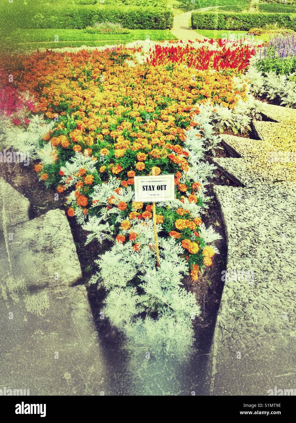 Bunte, mit Blumenmustern. - Smartphone-aufgenommenes Stockfoto