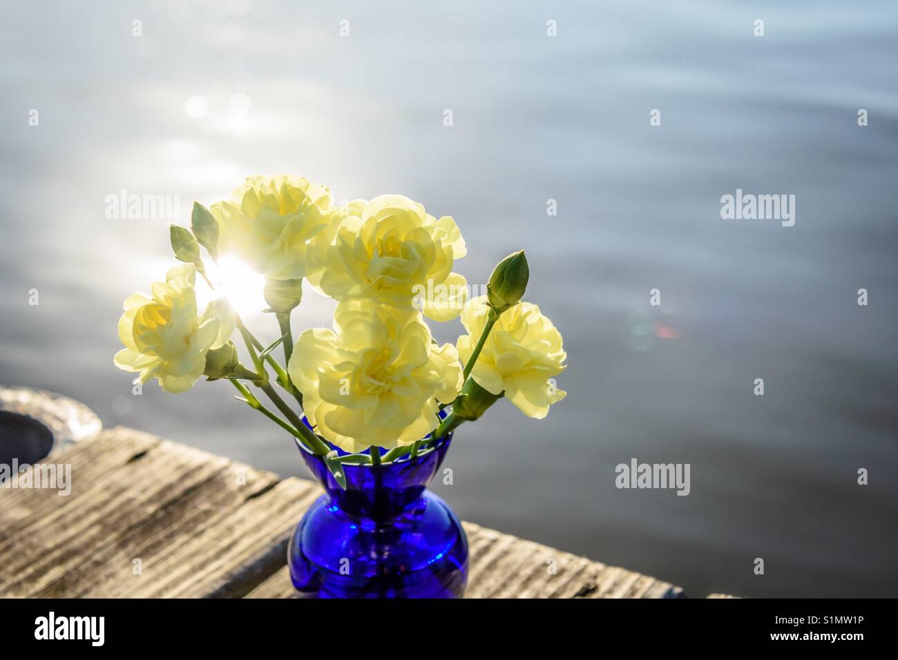 Gelbe Blumen in eine kobaltblaue Vase auf einem Pier am Wasser Stockfoto