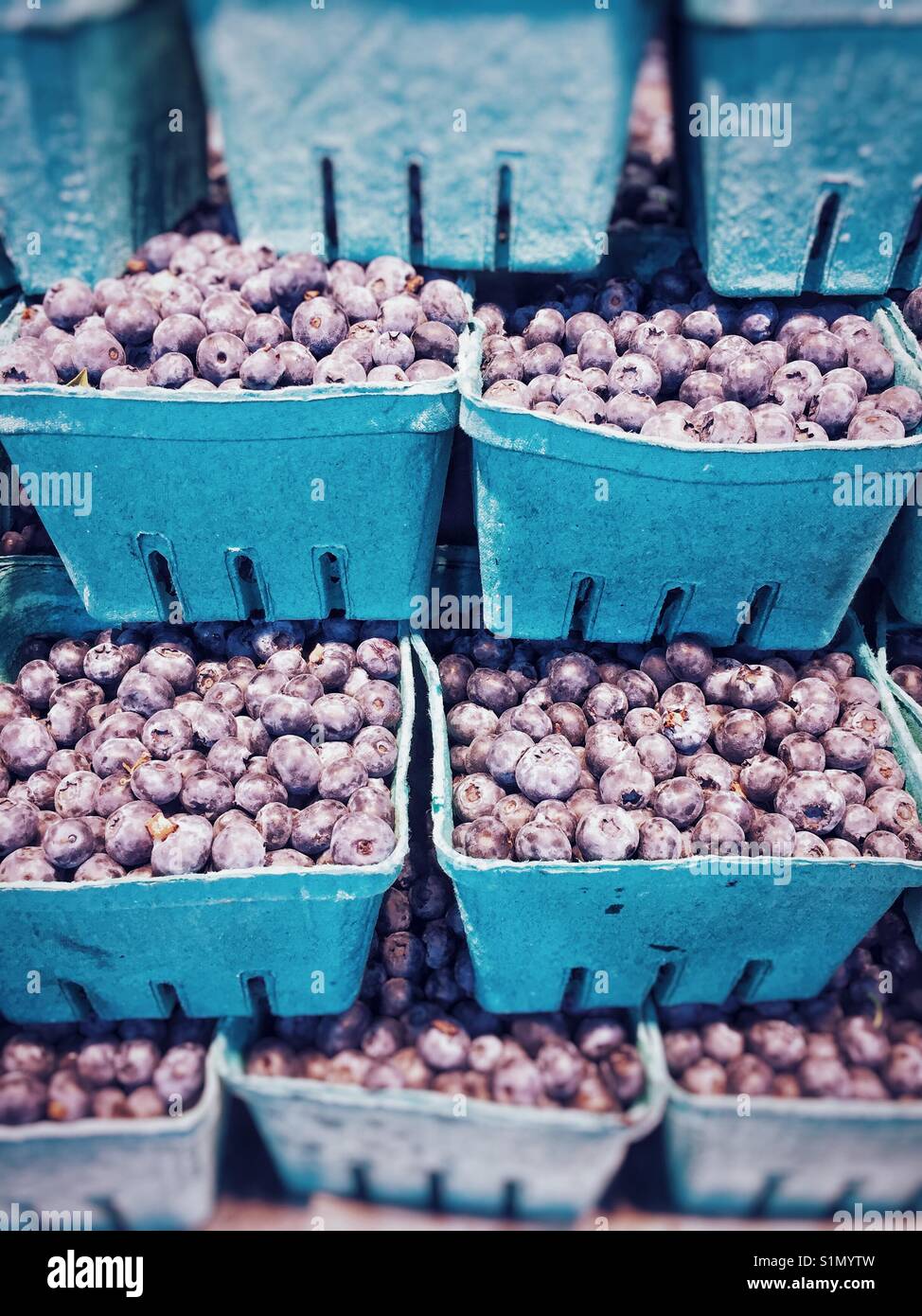 Saisonale frische Blaubeeren in Container gestapelt, für den Verkauf in einem Markt produzieren. Vancouver, British Columbia, Kanada. Stockfoto
