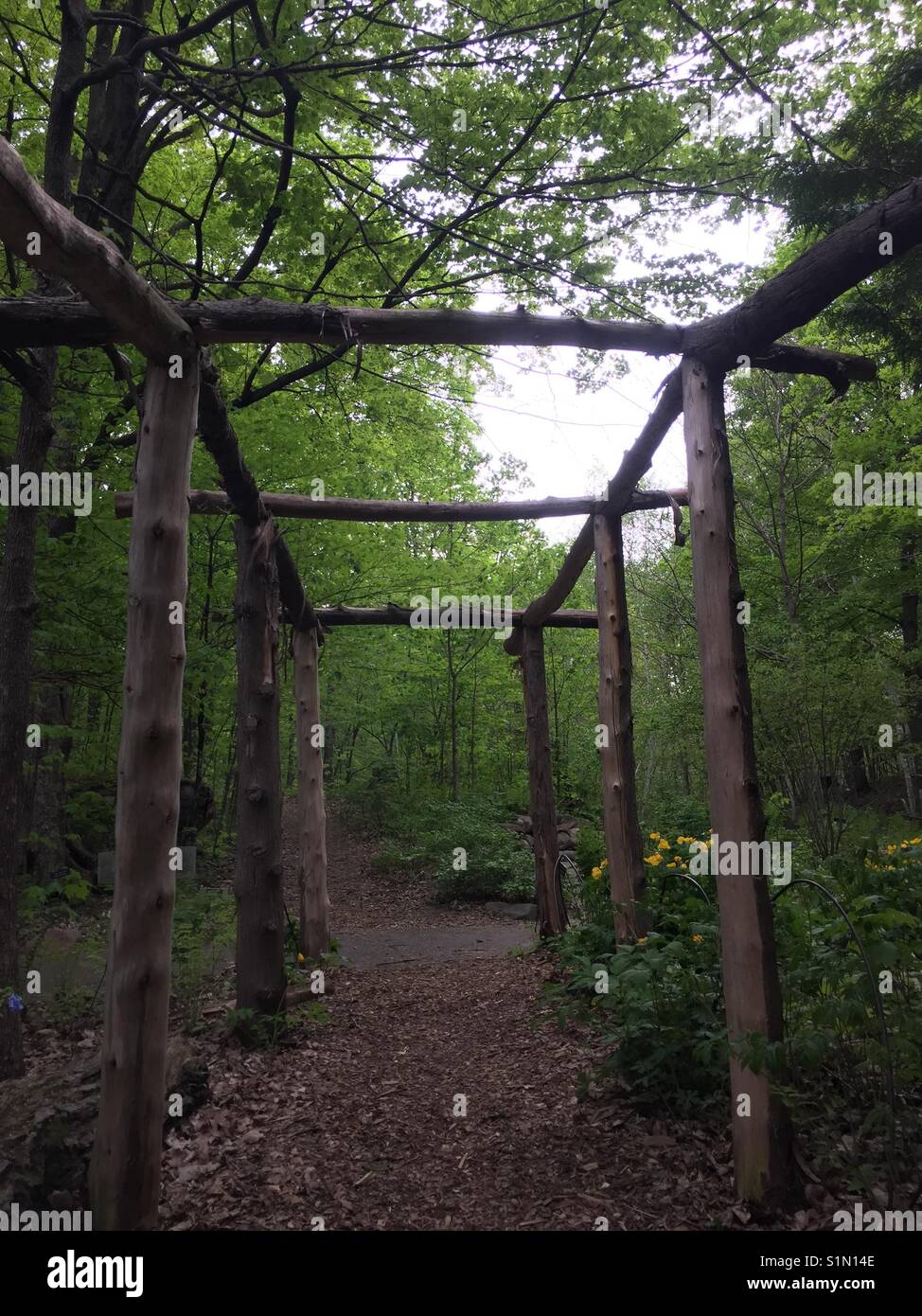 Eine Holzstruktur in den Wald. Stockfoto
