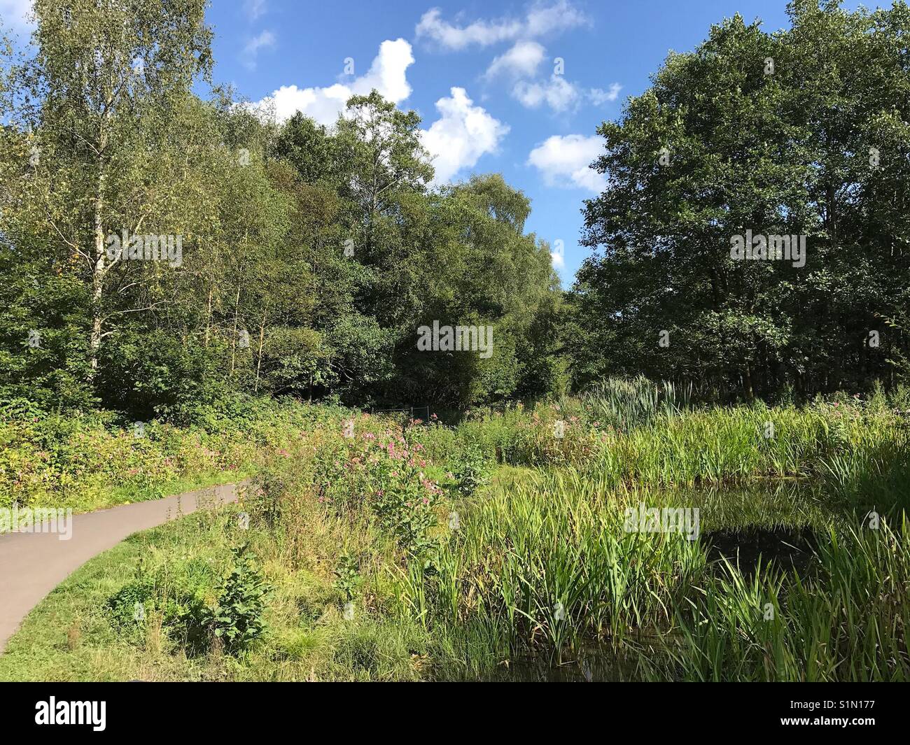 Eine der Wanderungen im Country Park bei Barry Gleisanschlüsse in der Nähe von Pontypridd, Wales - Smartphone-aufgenommenes Stockfoto