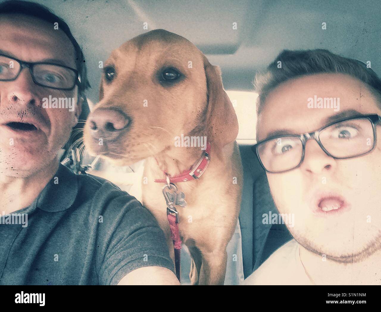Vater und Sohn ziehen dumme Gesichter und Spaß mit Ihrem Hund in einem Auto selfie. Stockfoto
