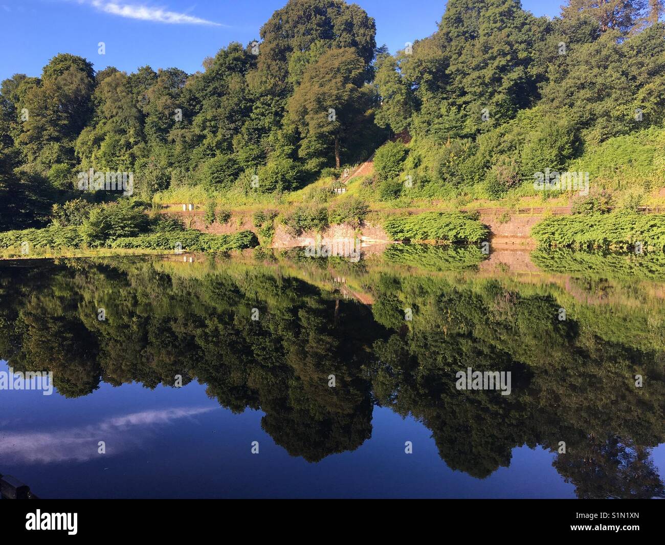 Malerische Aussicht mit Bäumen und Büschen in der noch Wasser eines Flusses wider Stockfoto