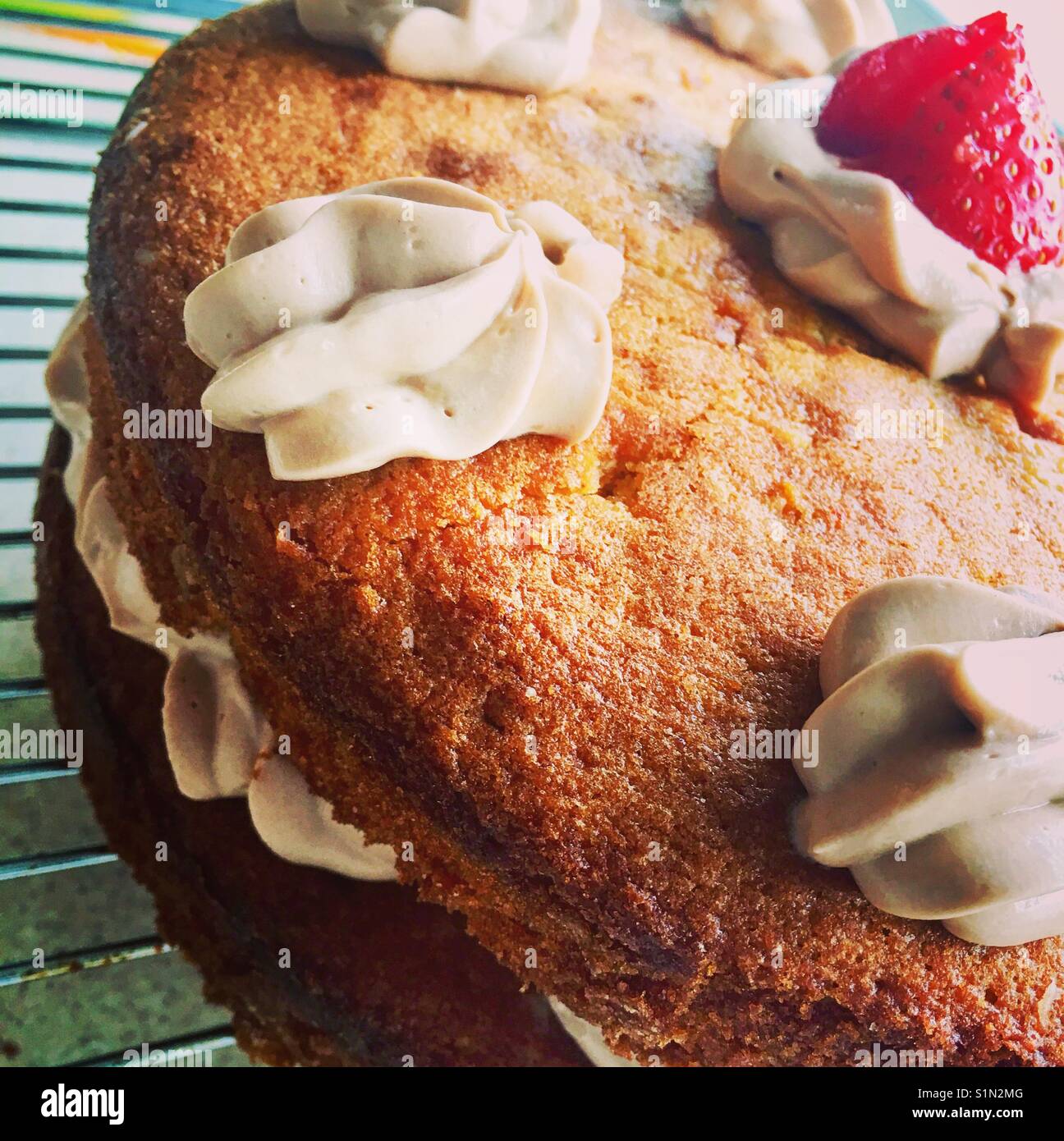 Nahaufnahme einer hausgemachten Kuchen. Stockfoto