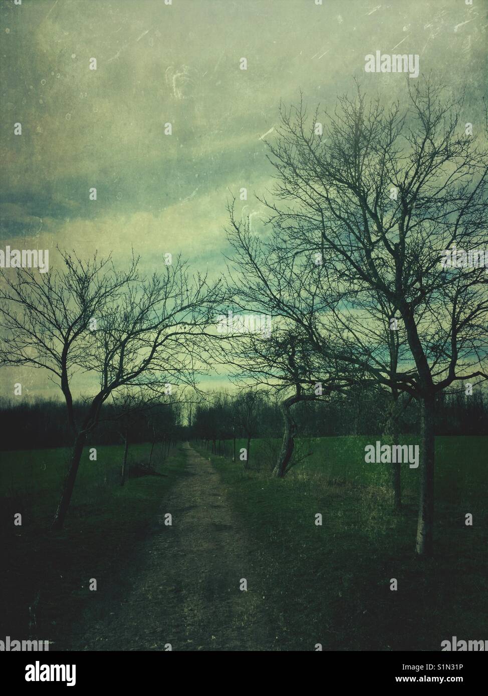 Einsamen Pfad in das Feld - Smartphone-aufgenommenes Stockfoto