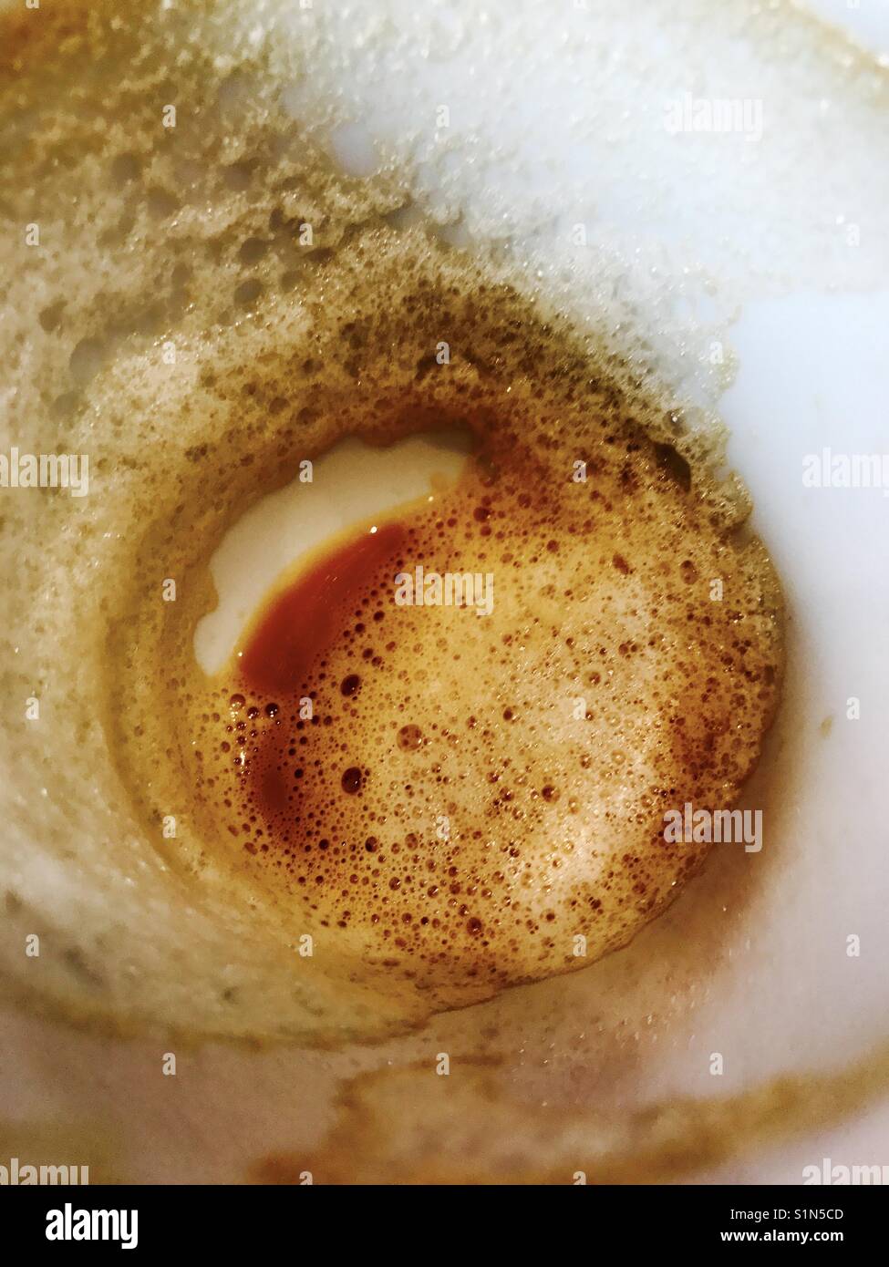 Kaffee Tasse Bodensatz in der Unterseite der Schale. Stockfoto