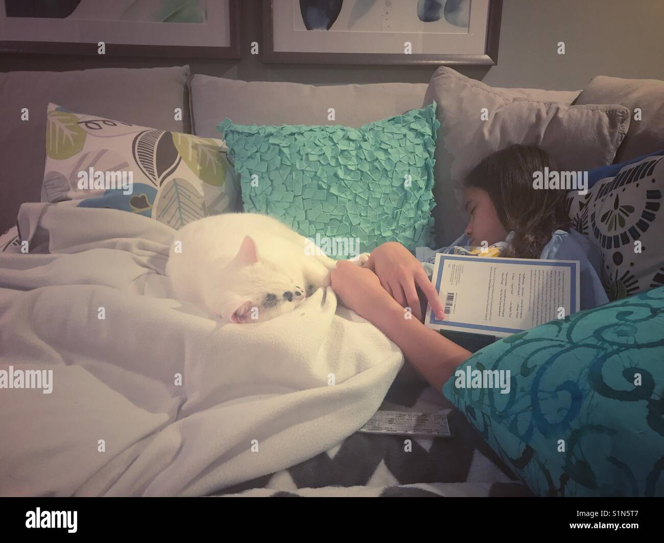 Mädchen schläft mit Ihrer Katze und Buch. Stockfoto