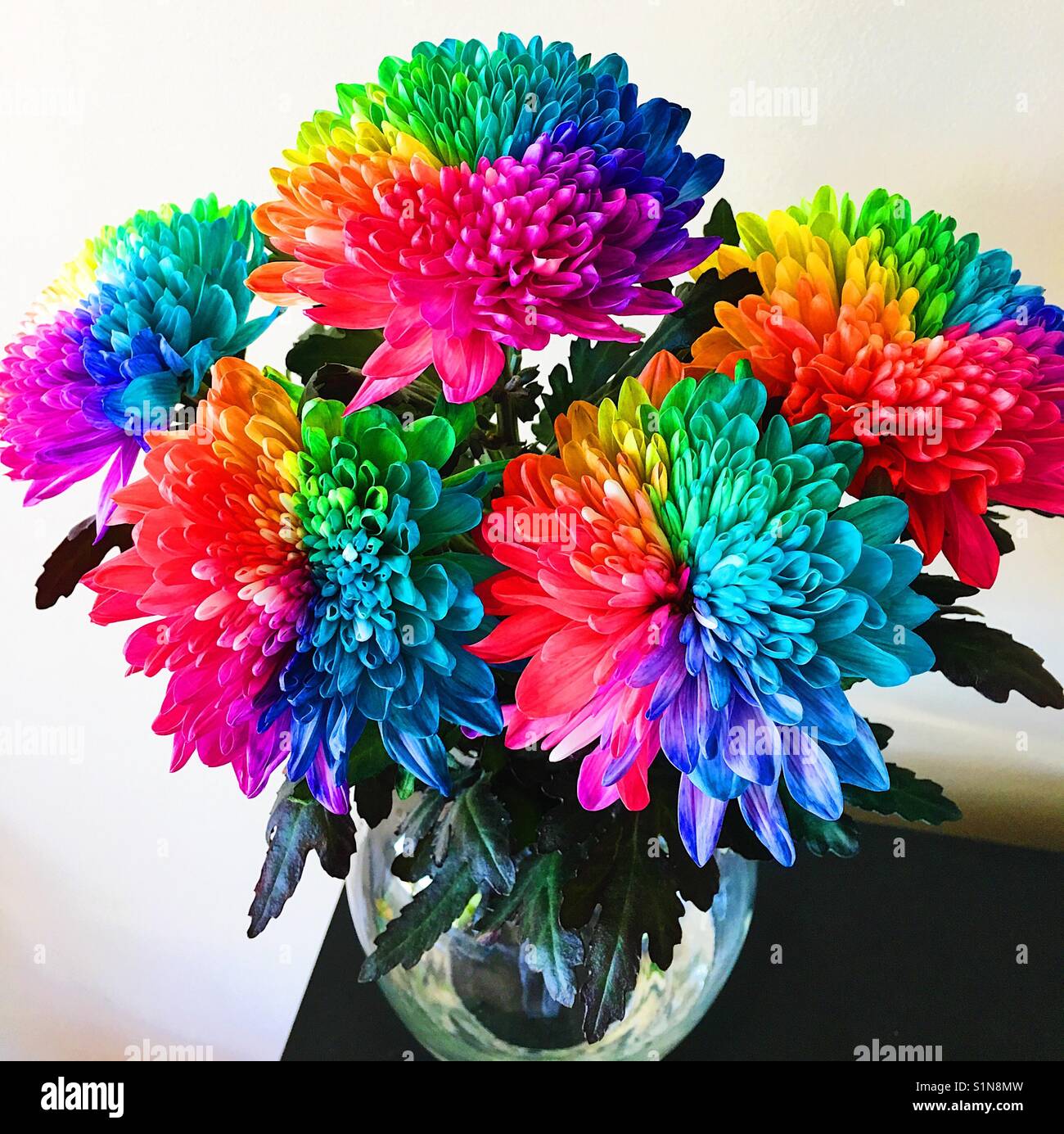 Regenbogenblumen Stockfoto