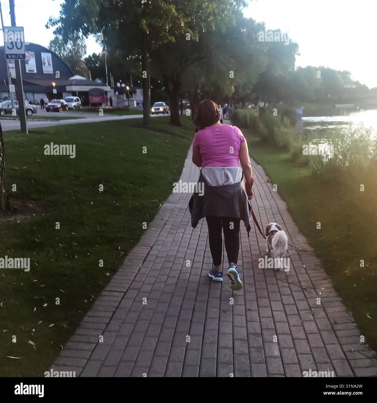 Gehen und Sprechen: Frau wandern Hund Stockfoto