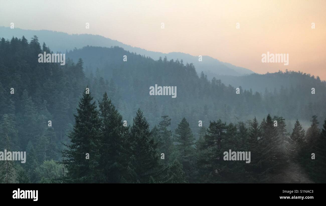 Blick über die Kaskaden in Oregon, USA, am späten Nachmittag - Smartphone-aufgenommenes Stockfoto