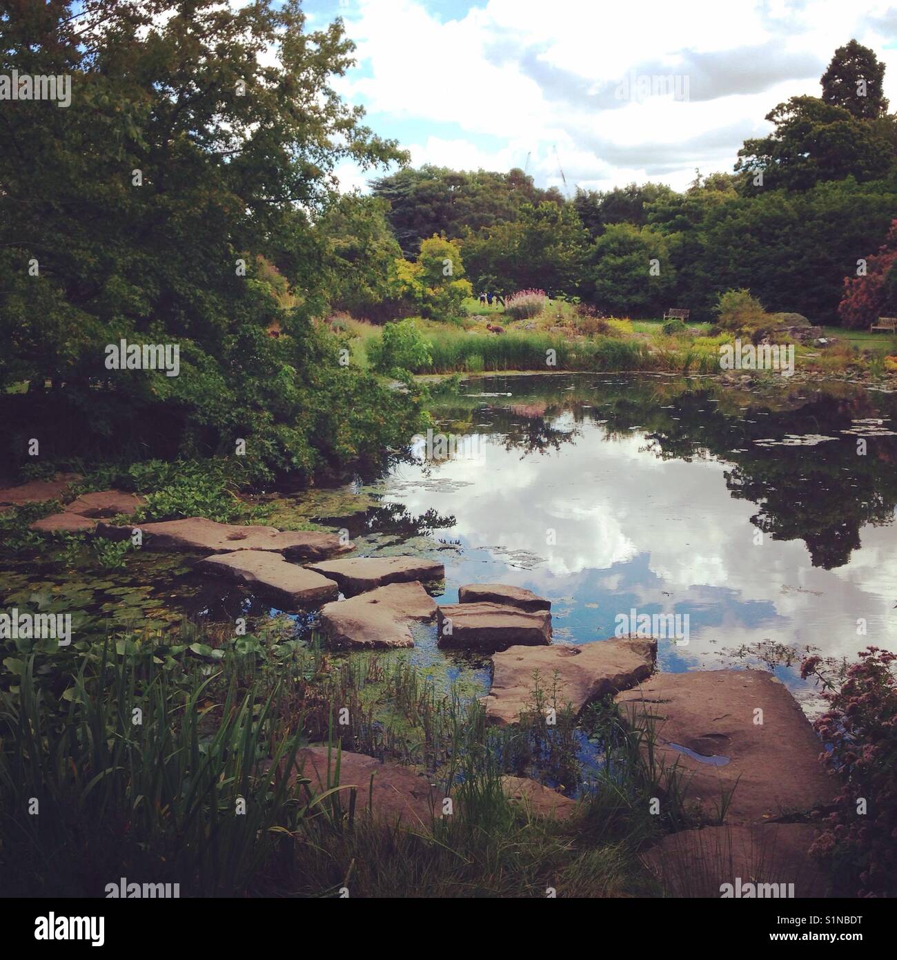 Cambridge University Botanical Gardens Stockfoto