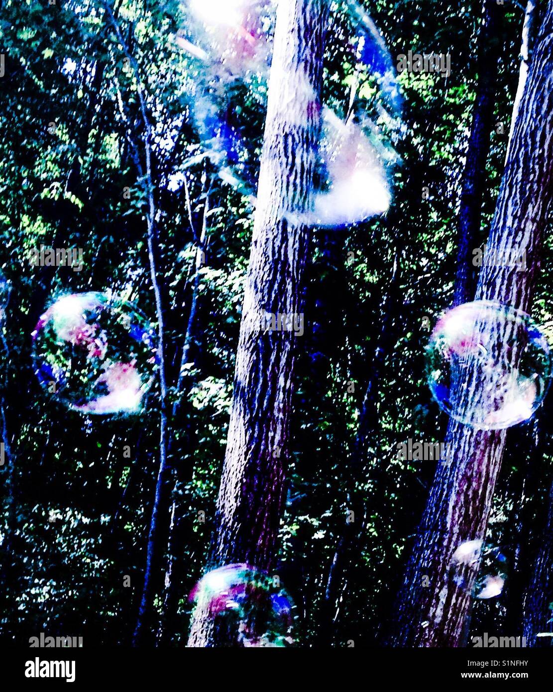 Bläuliche Seifenblasen im Wald Stockfoto