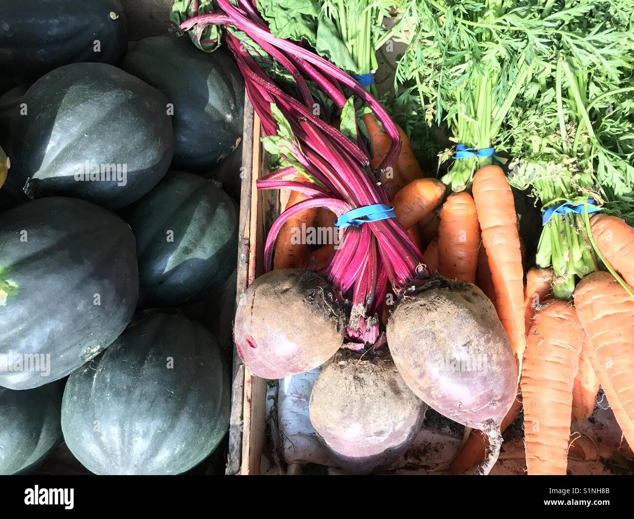 Karotten, Rüben und Acorn Squash Stockfoto