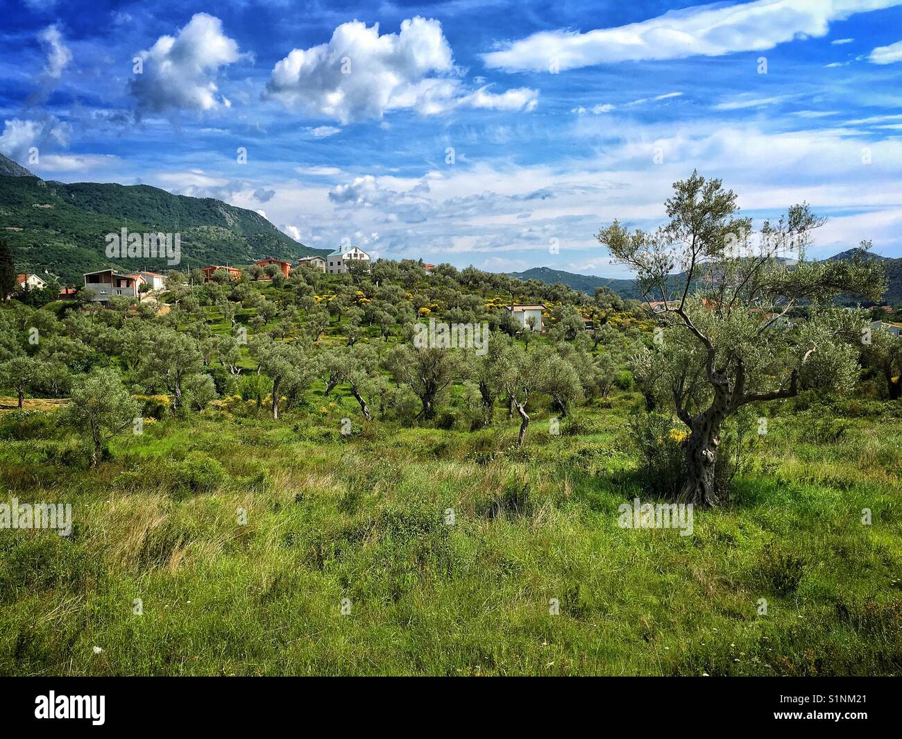 Berge in der Nähe von Bar, Montenegro Stockfoto