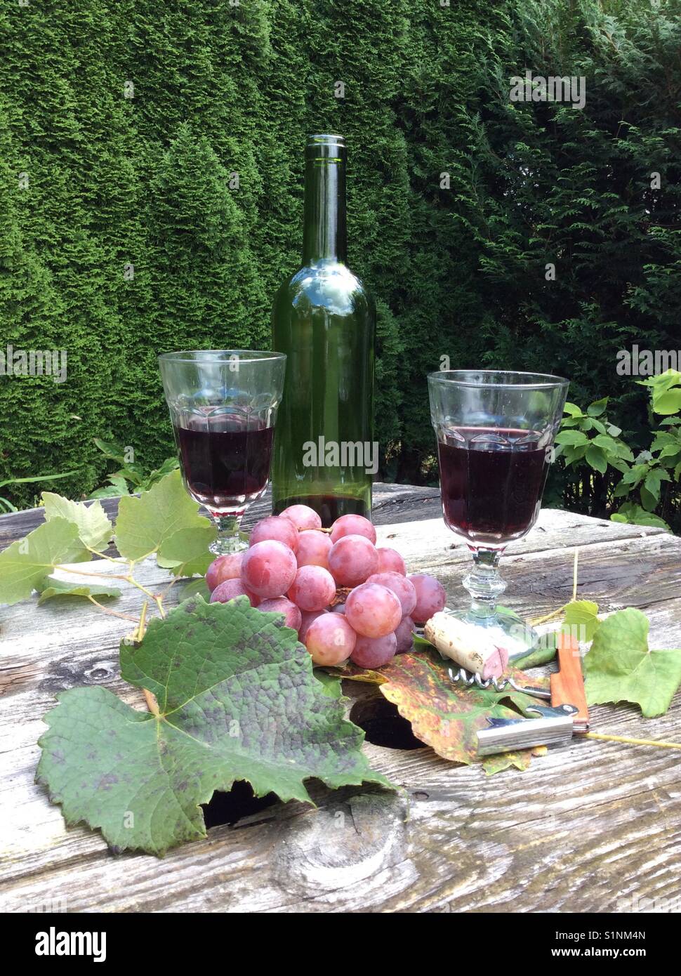 Rotwein aus der Flasche, Trauben und Wein Blätter, vintage Trinkgläser und Trauben auf alten verwitterten Holztisch Stockfoto