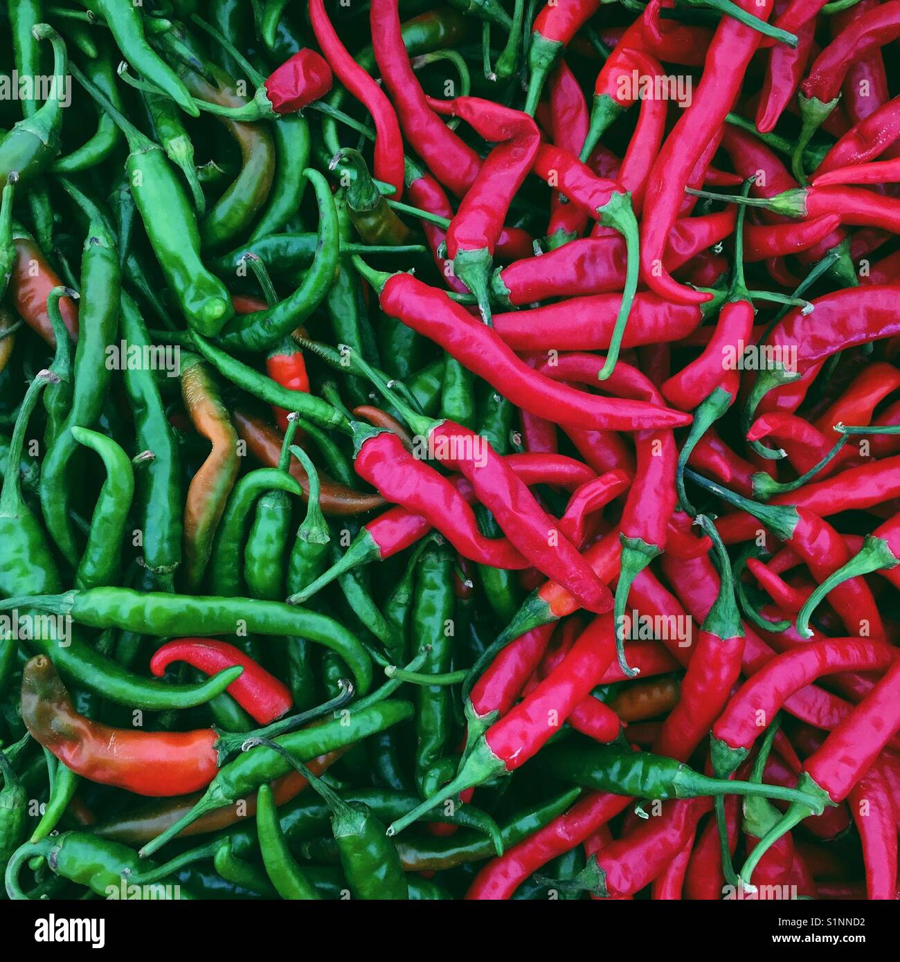 Rote und grüne Chilischoten auf einem Markt Stockfoto