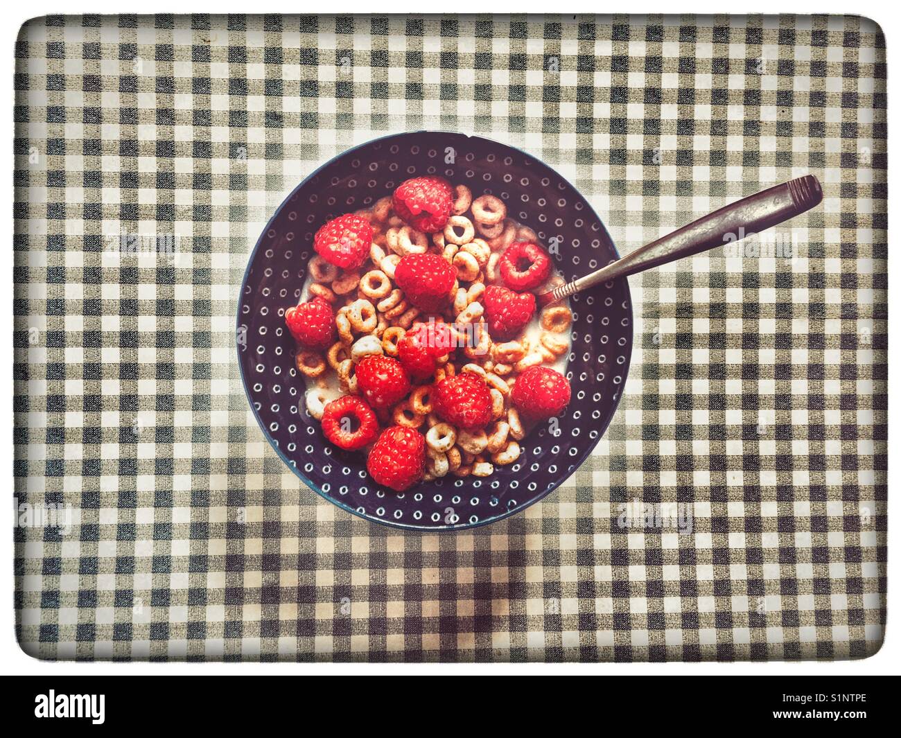 Nestle Cheerios mit frischen Himbeeren - Smartphone-aufgenommenes Stockfoto