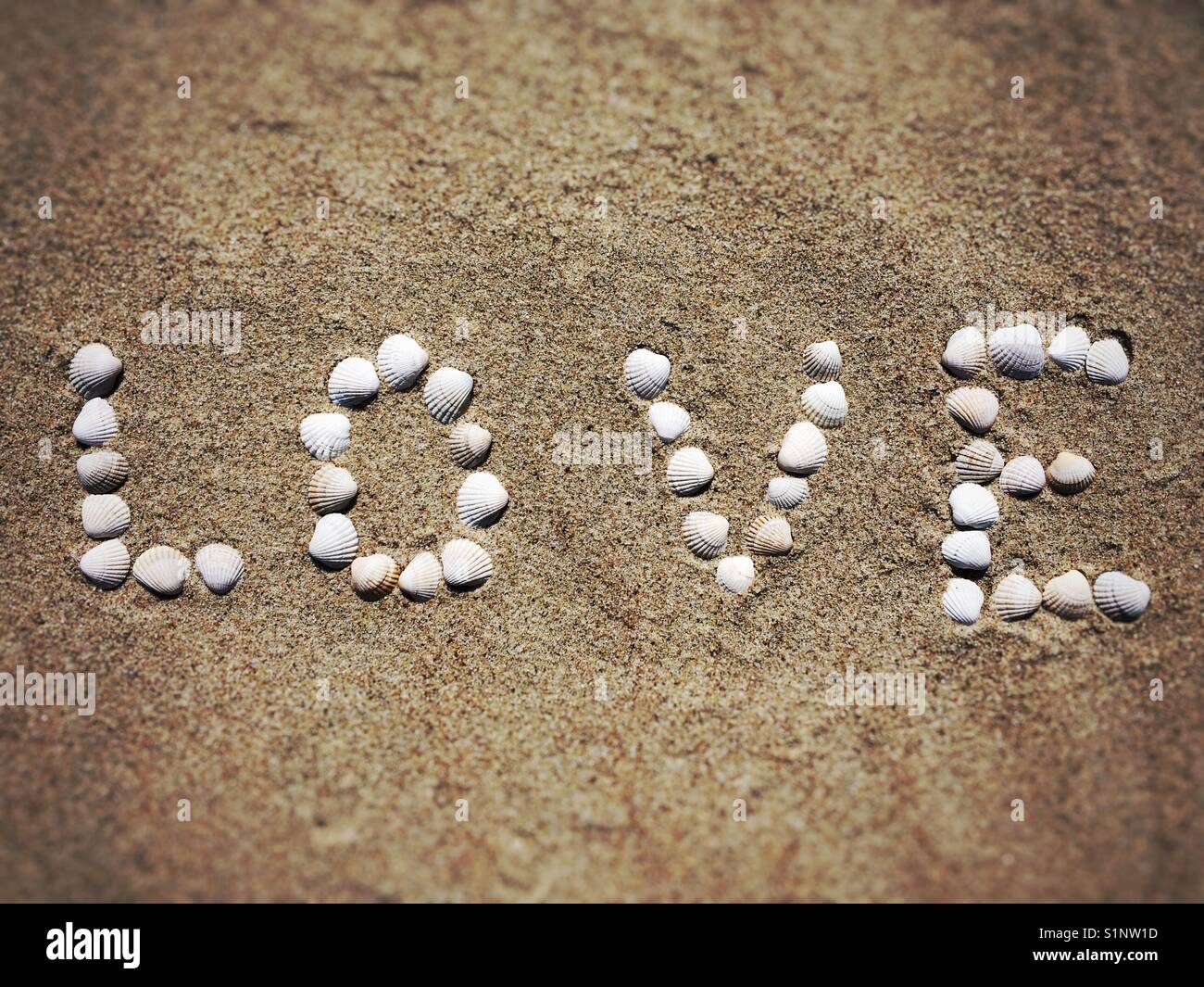 Das Wort Liebe auf einem Sandstrand aus Muscheln - Smartphone-aufgenommenes Stockfoto