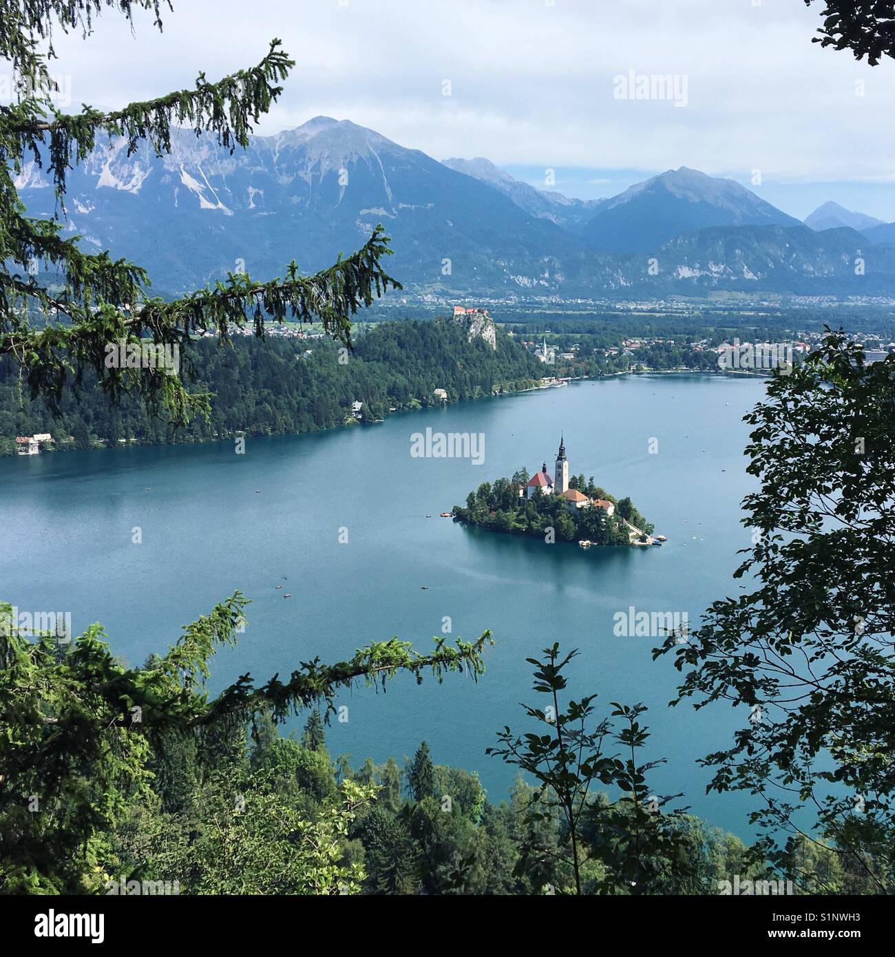 Der See von Bled, Slowenien, im Sommer Stockfoto