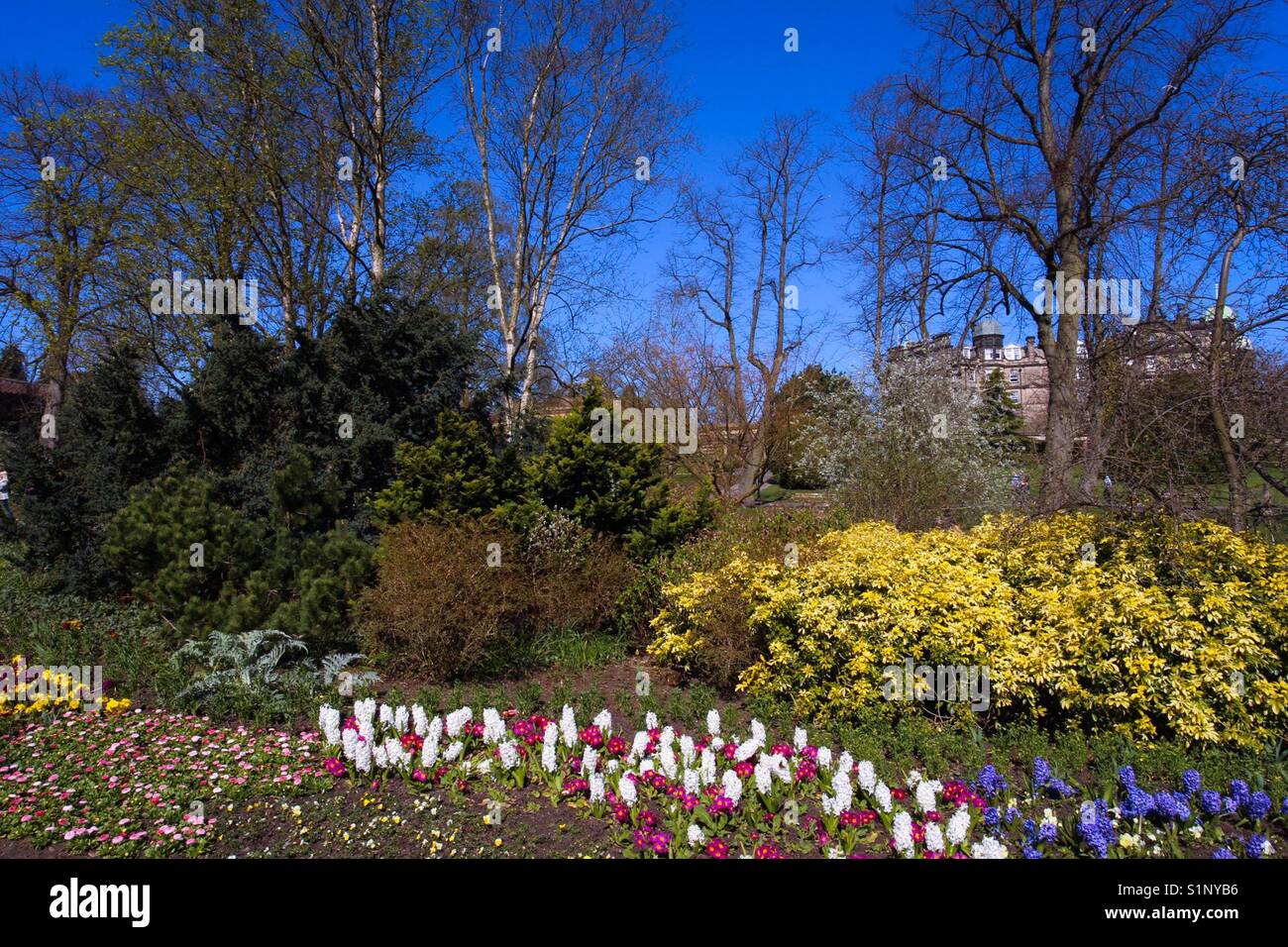 Valley Gardens, Harrogate Stockfoto