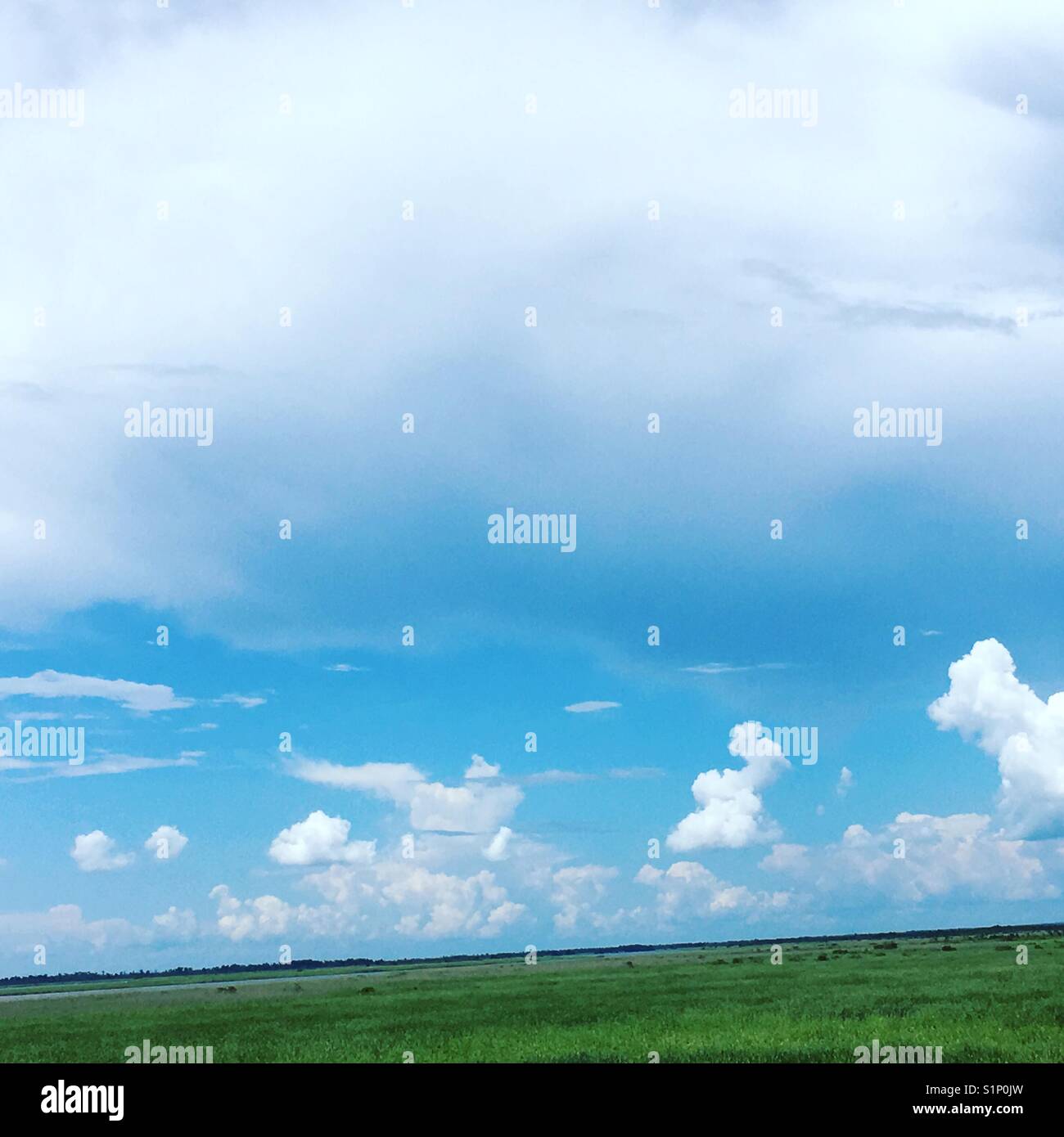 Himmel und Wolken über Gras Stockfoto