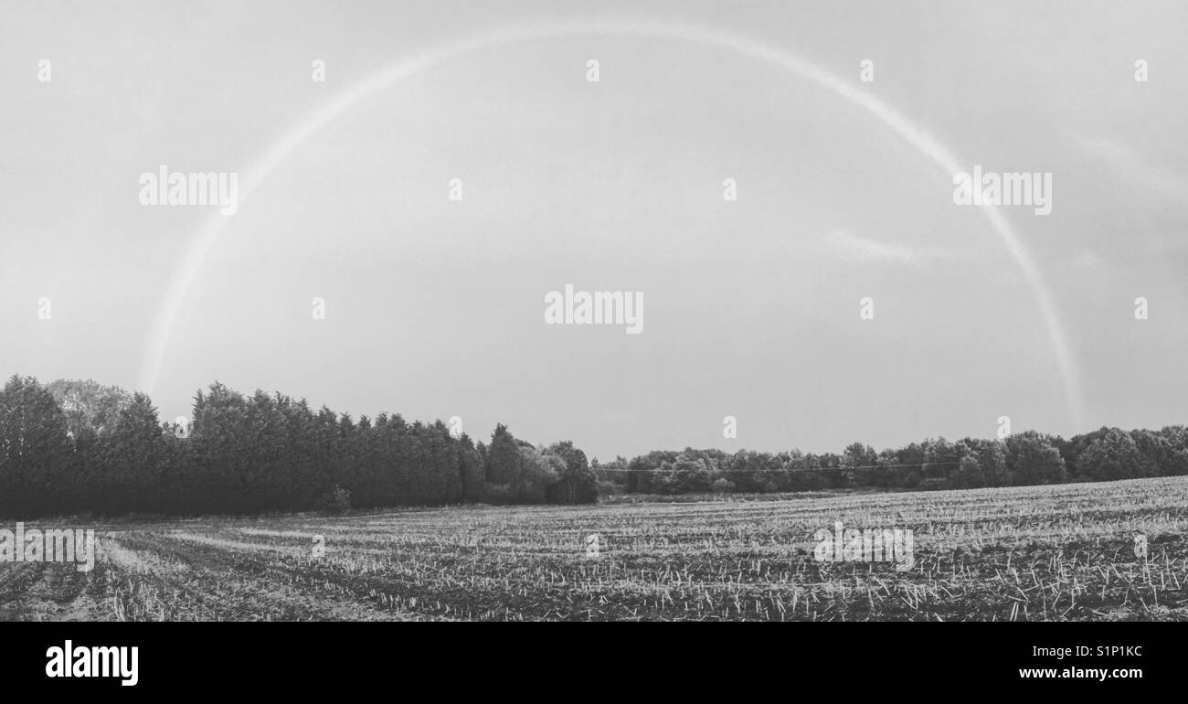 Regenbogen über Feld in Schwarz und Weiß Stockfoto