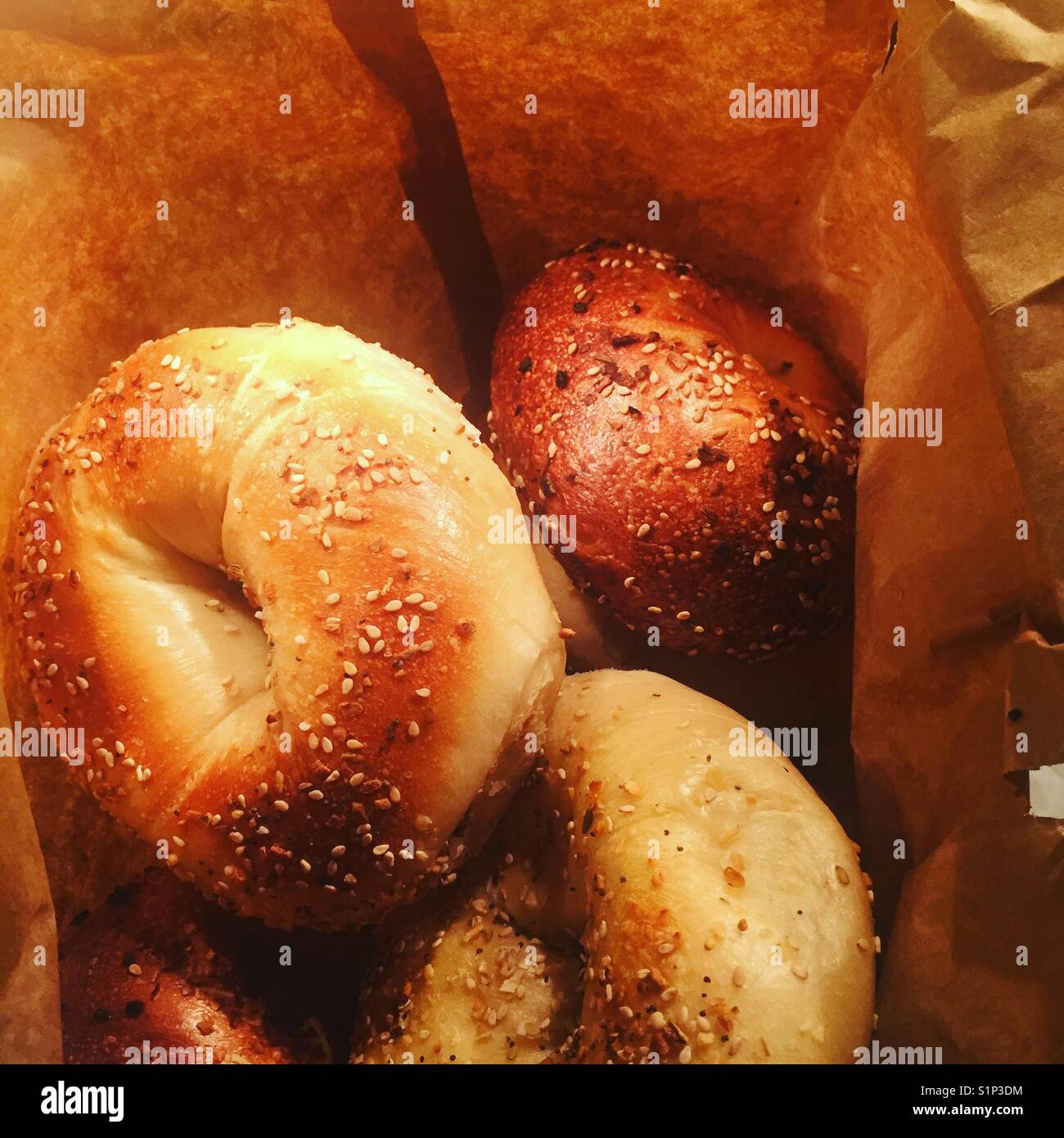 New Yorker Bagels Stockfoto