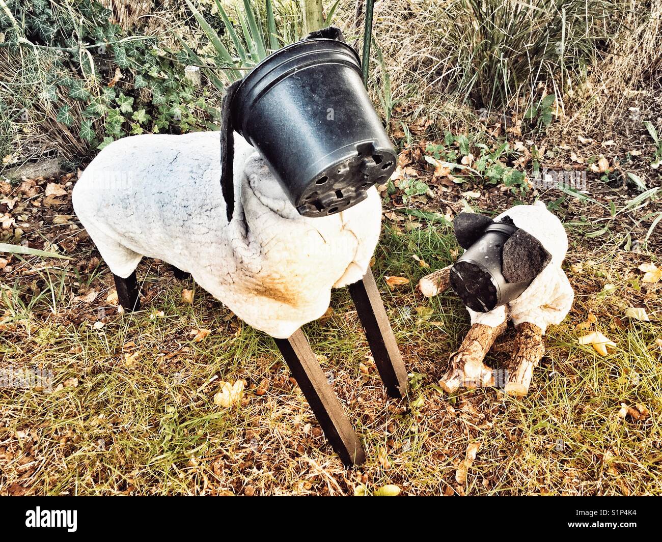 Hausgemachte Schafe neben der Strasse, Butley, Suffolk, England. Stockfoto