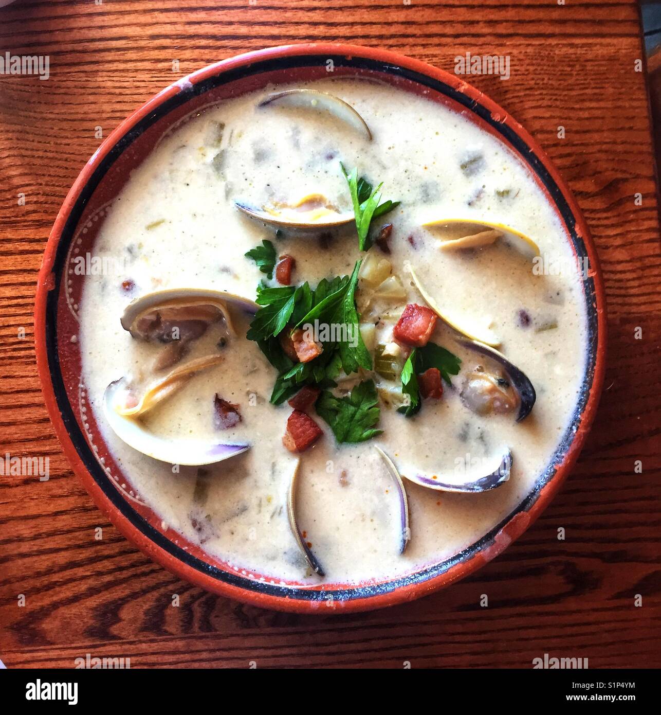 Hausgemachte Clam Chowder Stockfoto