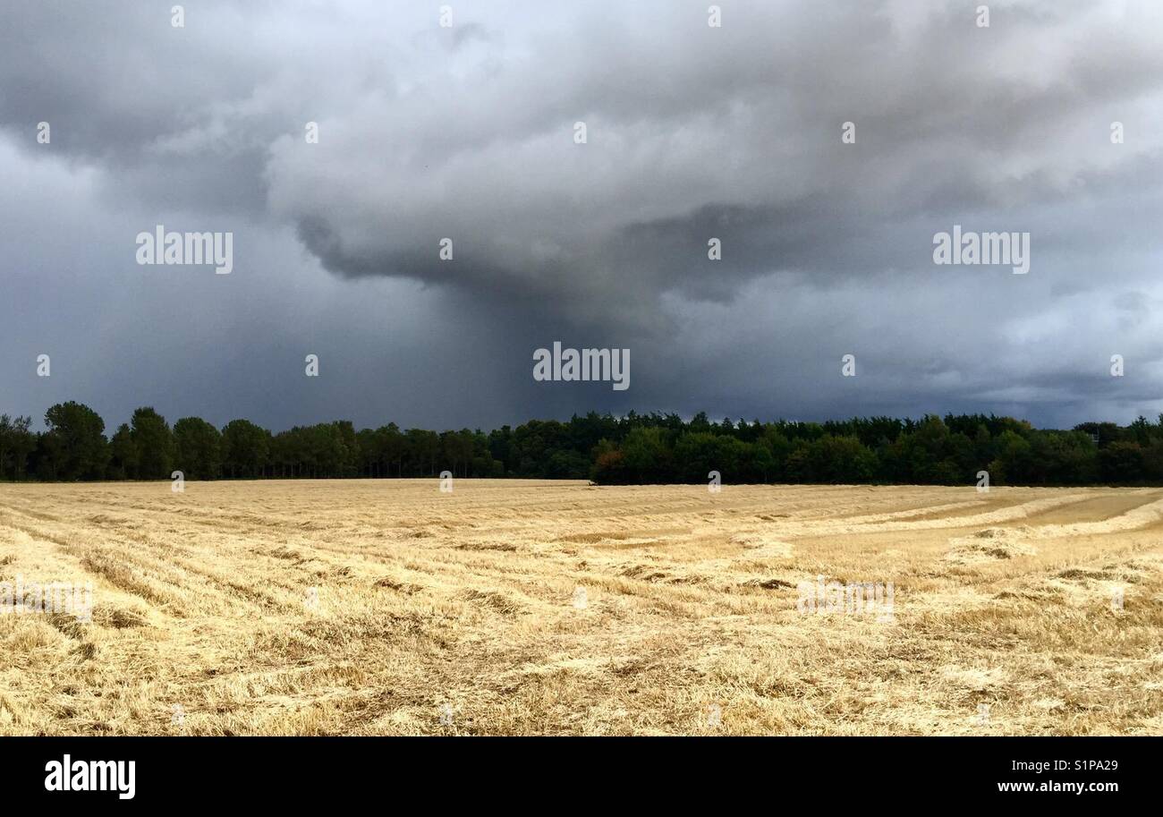 Dramatische Wolken, ungewöhnliche Wetter. Die Zeit der Ernte mit dem Regen kommen. Stockfoto