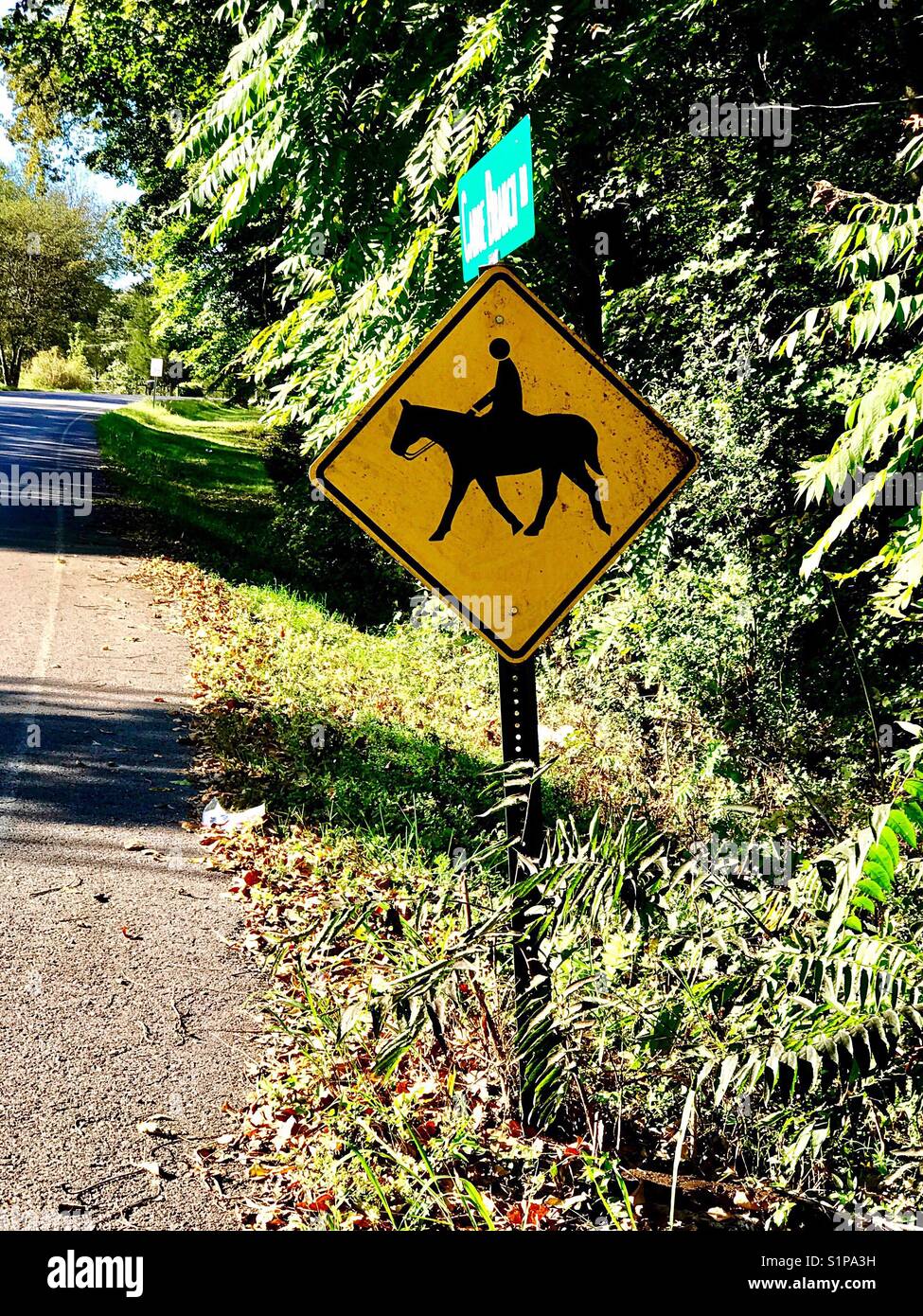 Reiten Schild auf Landstraße in ländlichen Tennesee Stockfoto