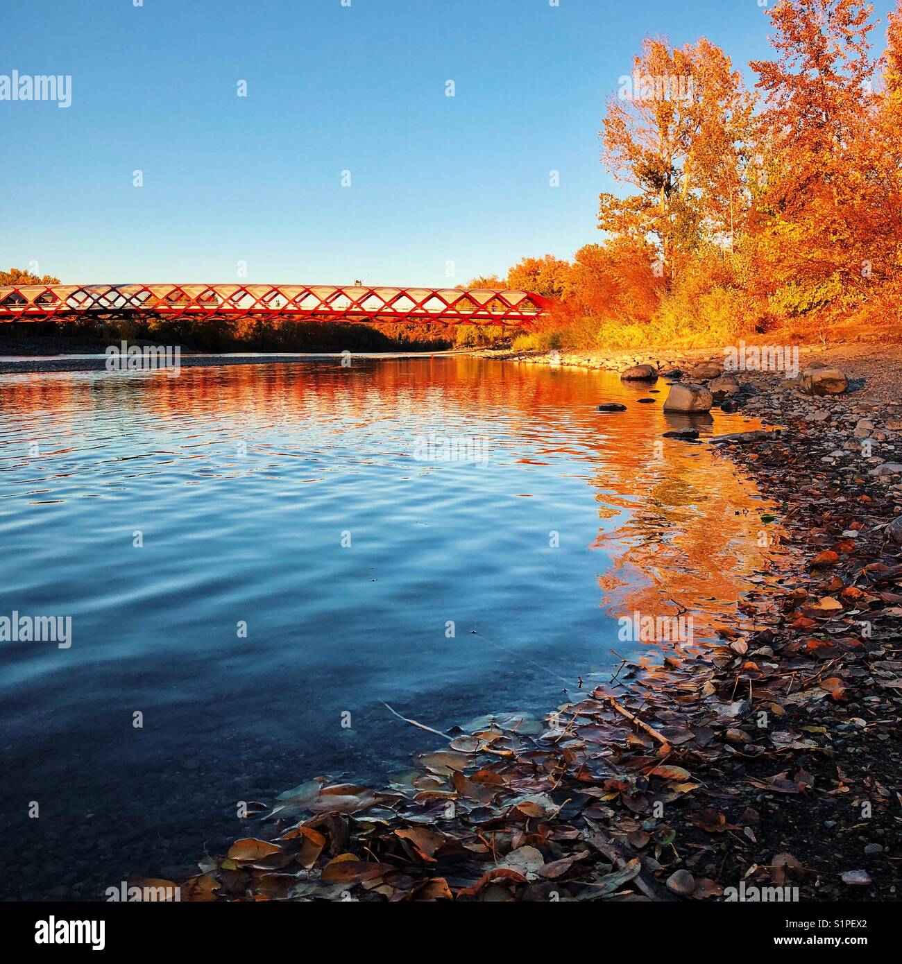 Schöne Herbstfarben Grenze der Peace Bridge in der Nähe von Sunset in Calgary, Alberta, Kanada Stockfoto