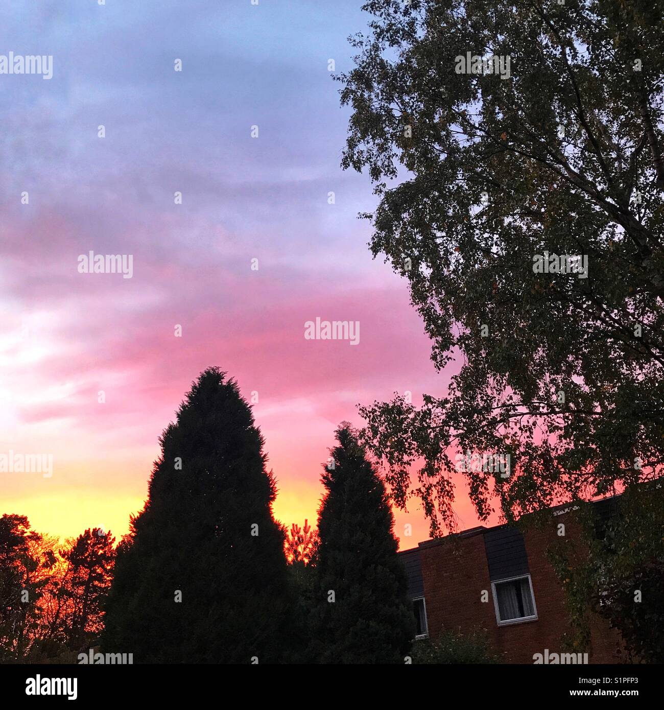 Am späten Abend herbst himmel Vereinigtes Königreich - Smartphone-aufgenommenes Stockfoto